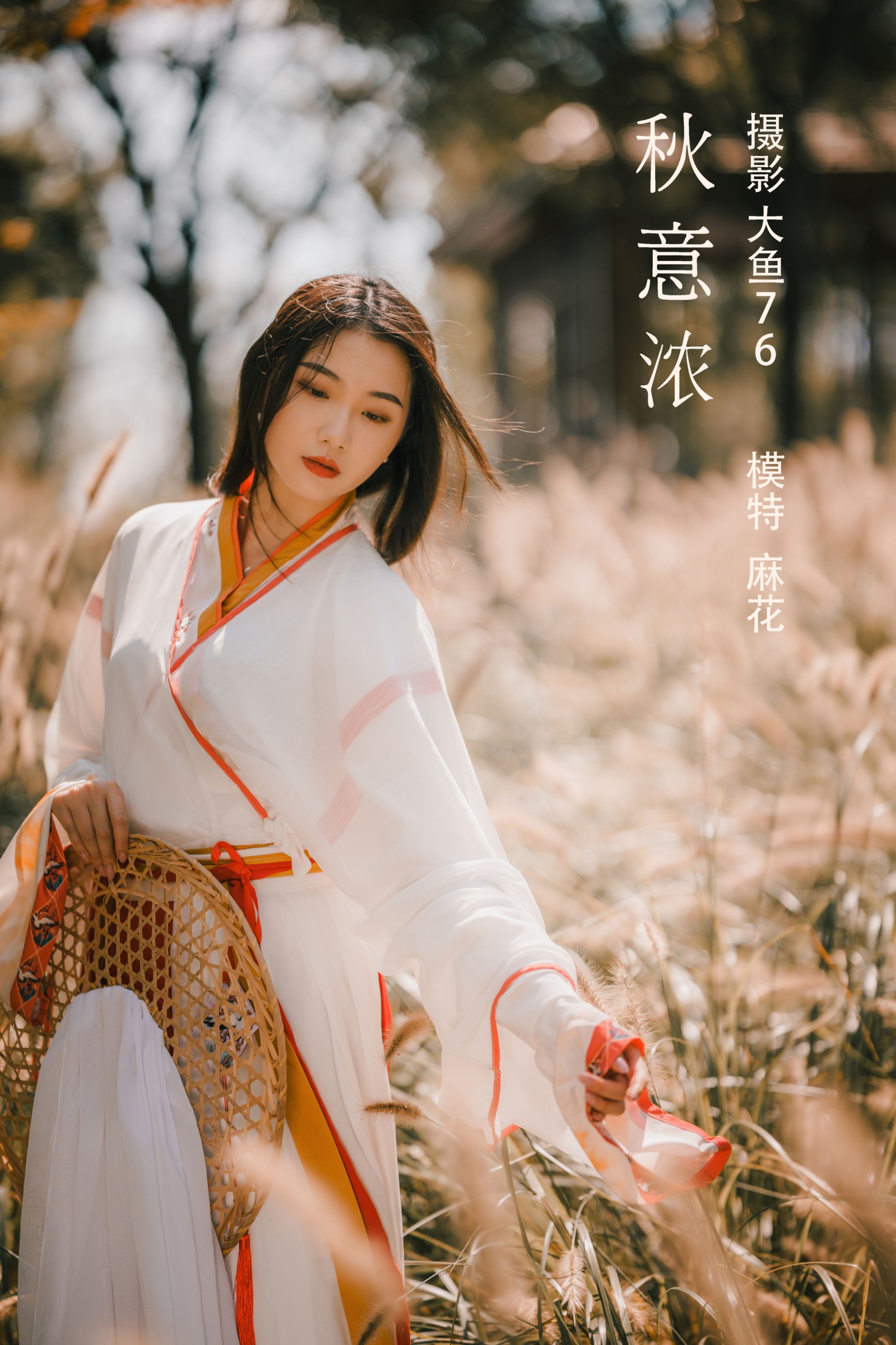秋意浓