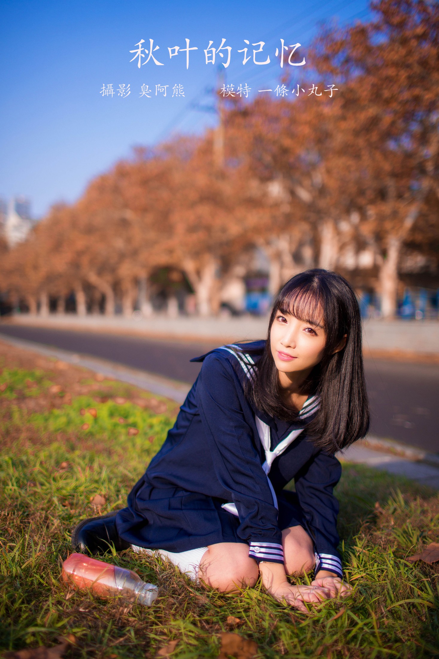 秋叶的记忆