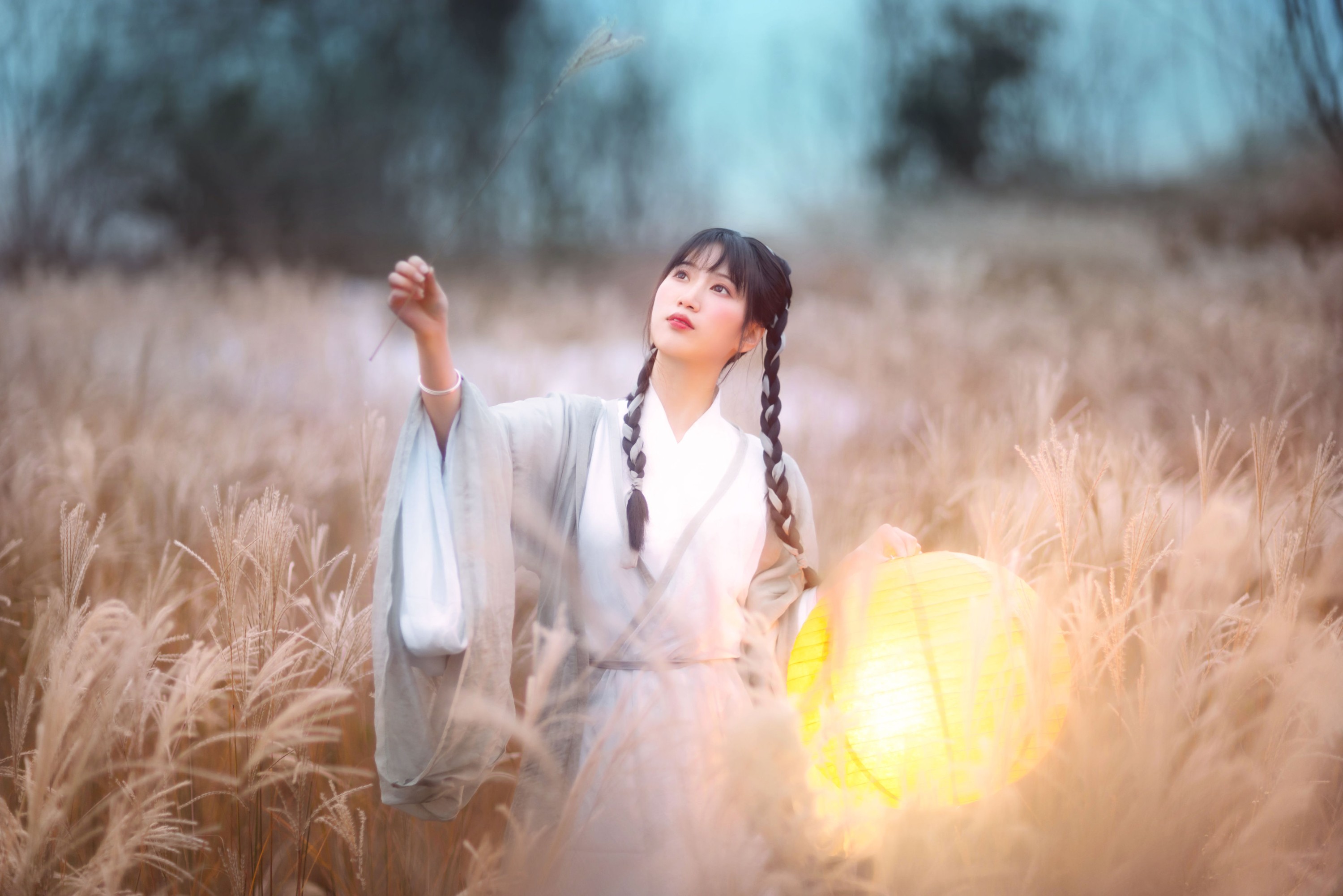 初茶 – 《东篱西》[40P]
