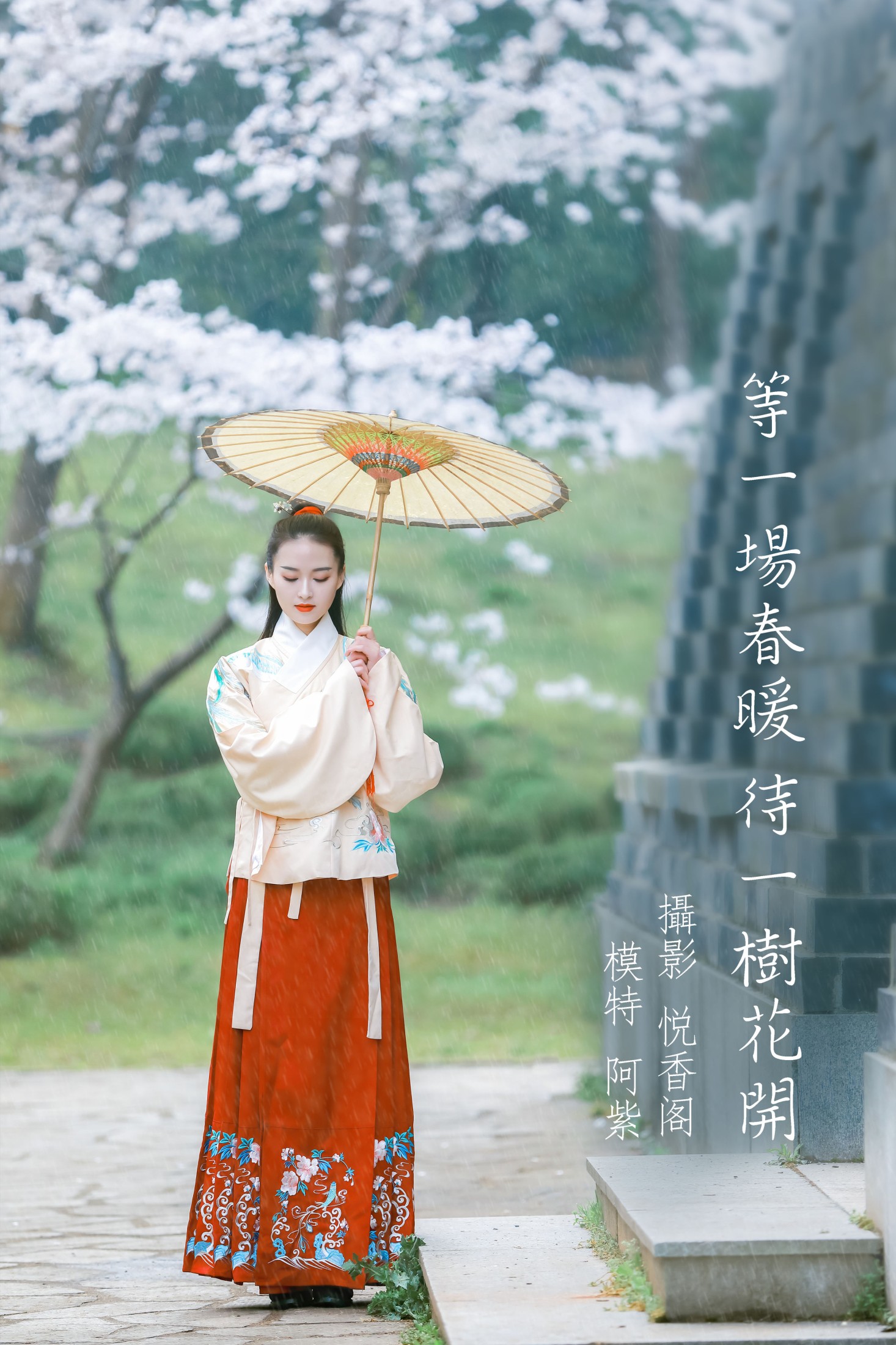 等一场春暖 待一树花开