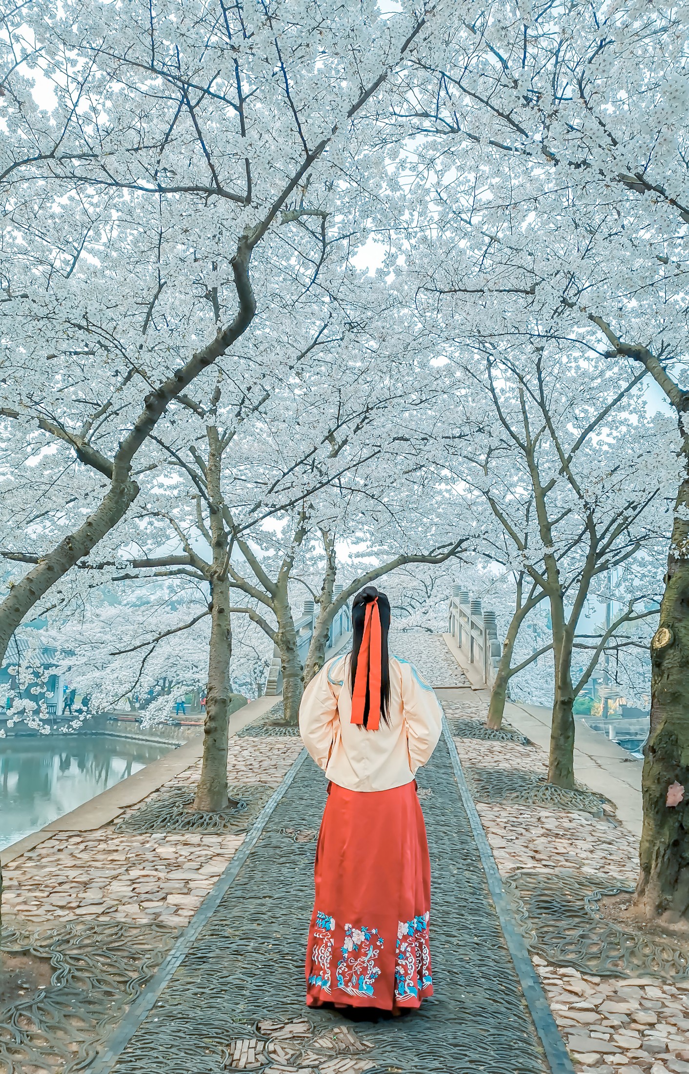 阿紫 – 《等一场春暖 待一树花开》[20P]