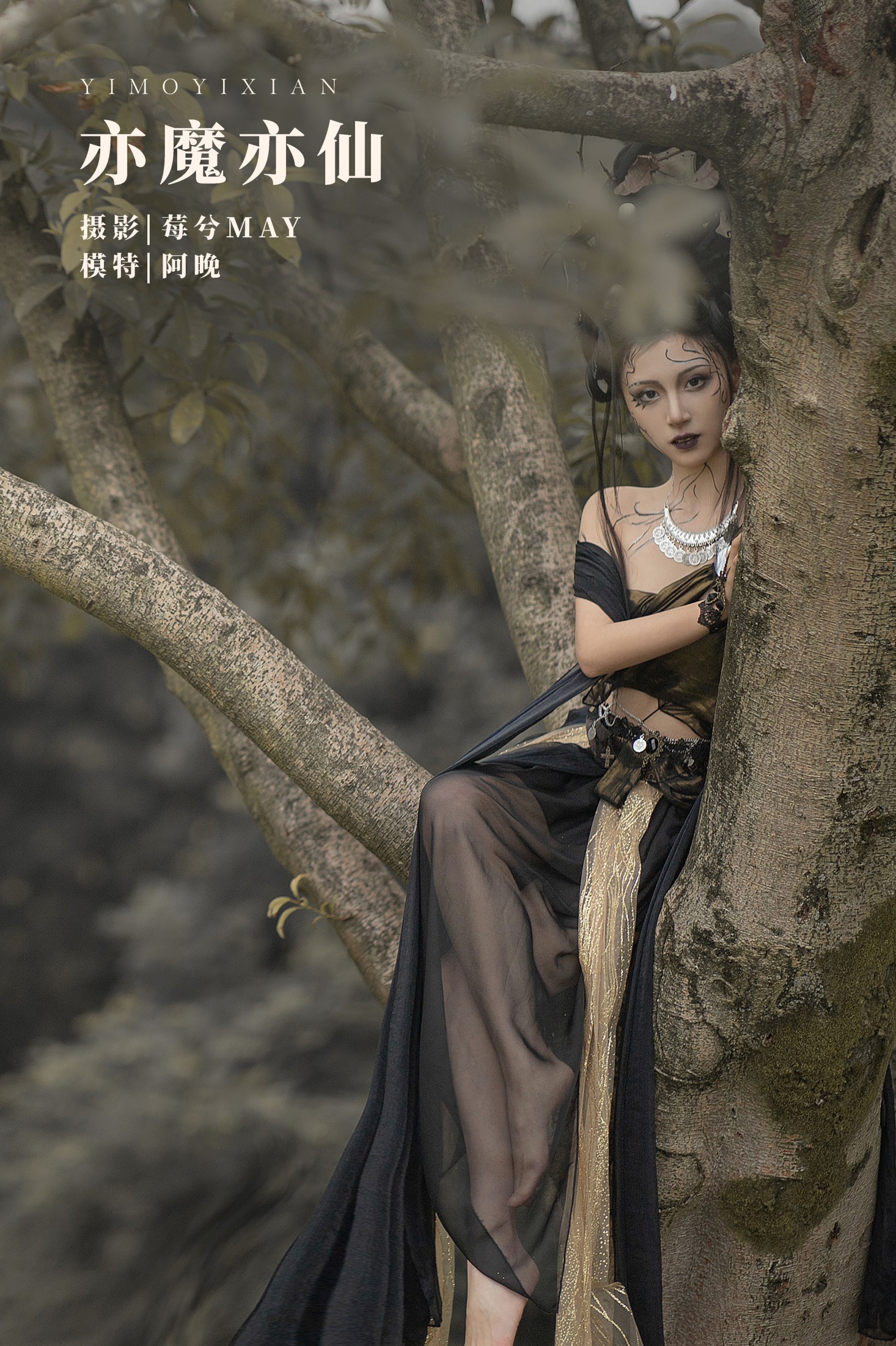 亦魔亦仙