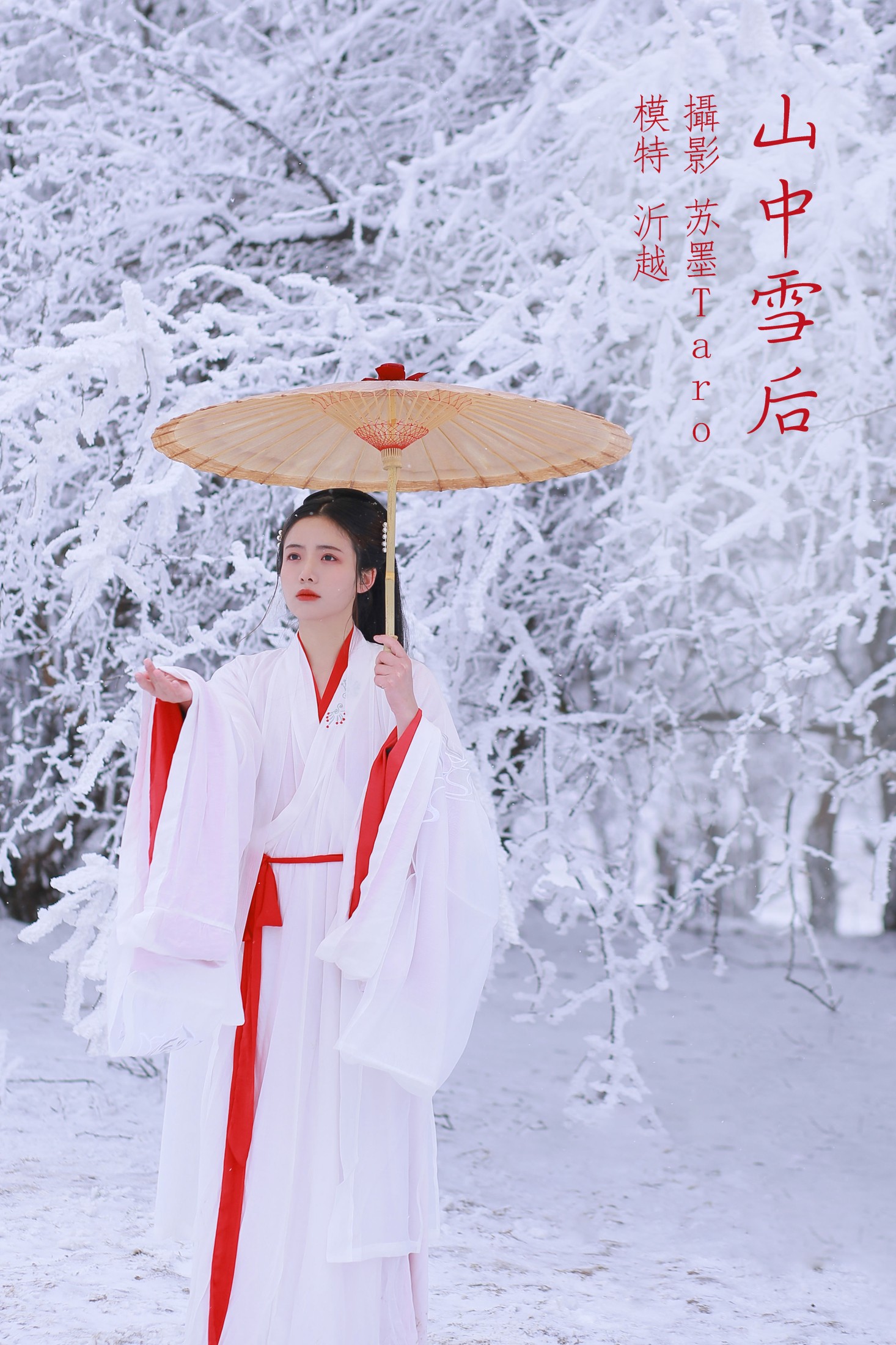 山中雪后