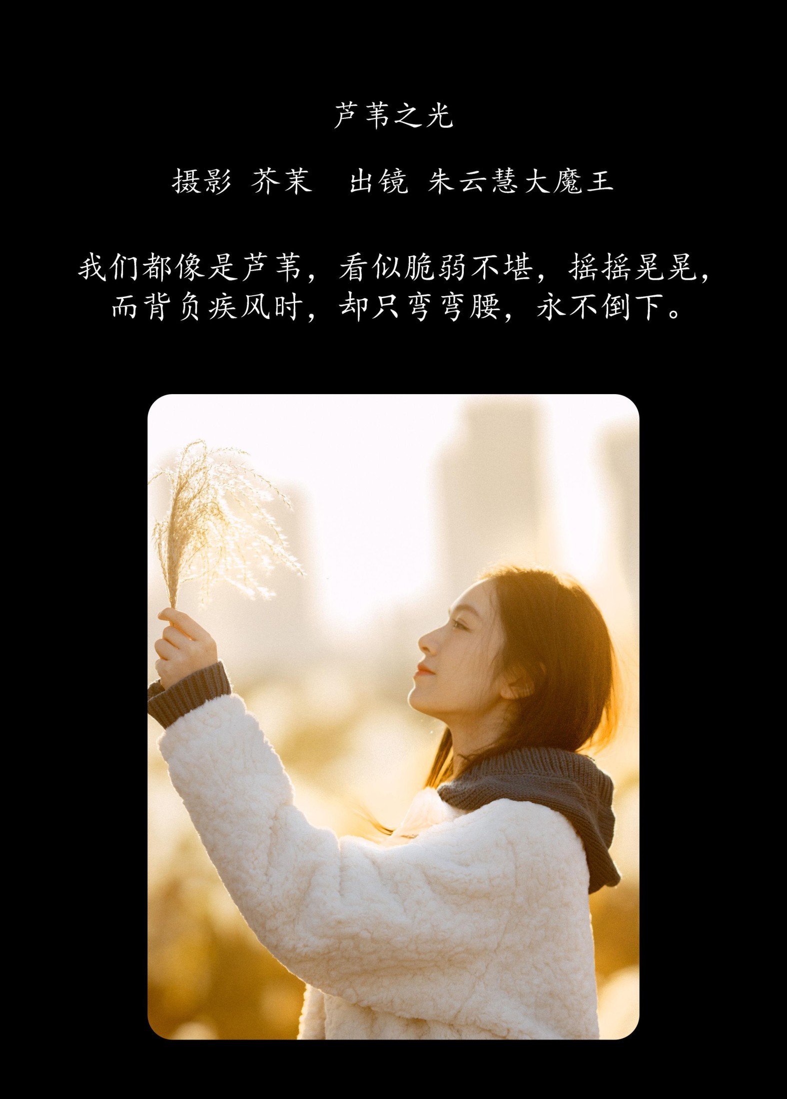 朱云慧大魔王 – 《芦苇之光》[24P]