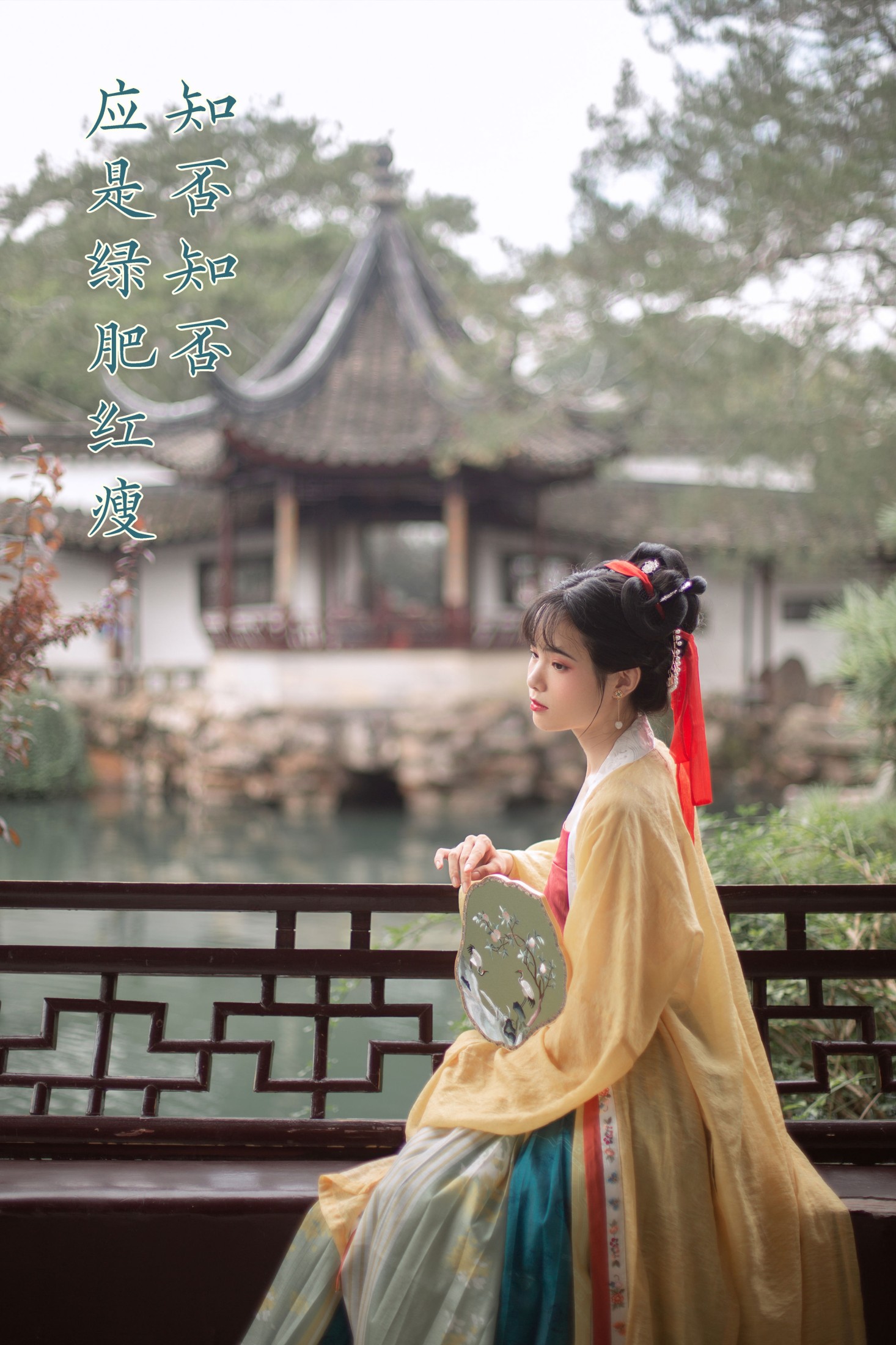 知否知否,应是绿肥红瘦