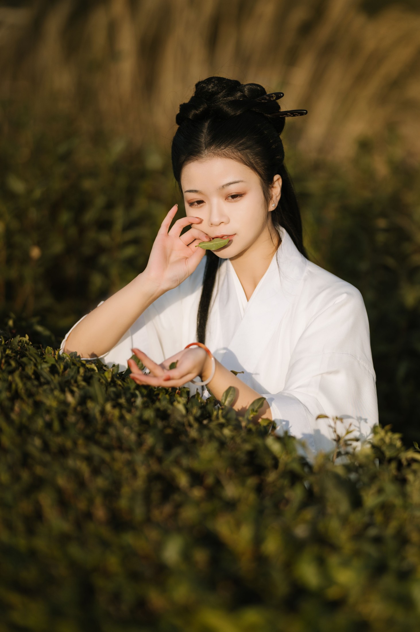藏茗茗茗茗 – 《采茶》[31P]