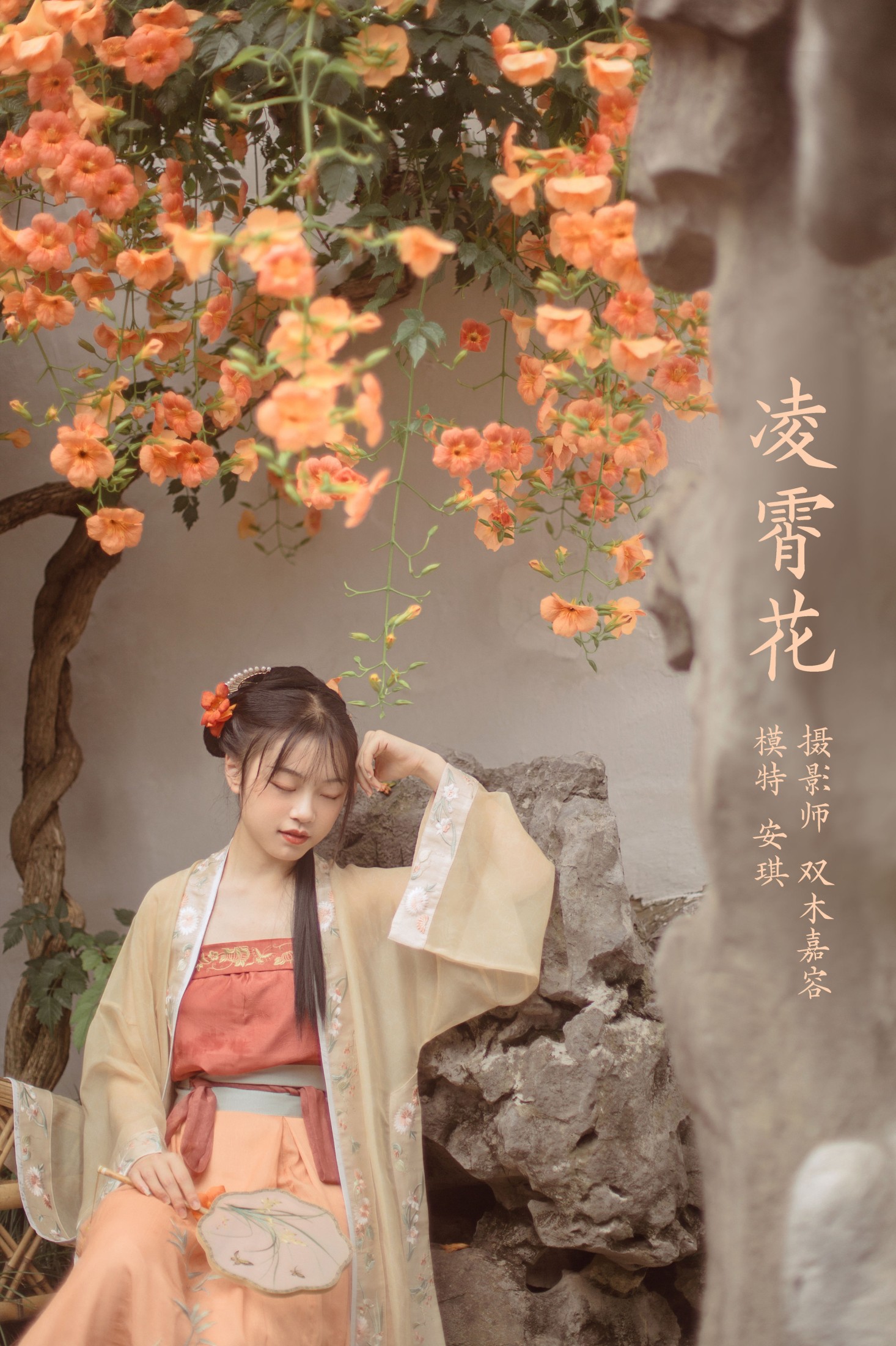 凌霄花