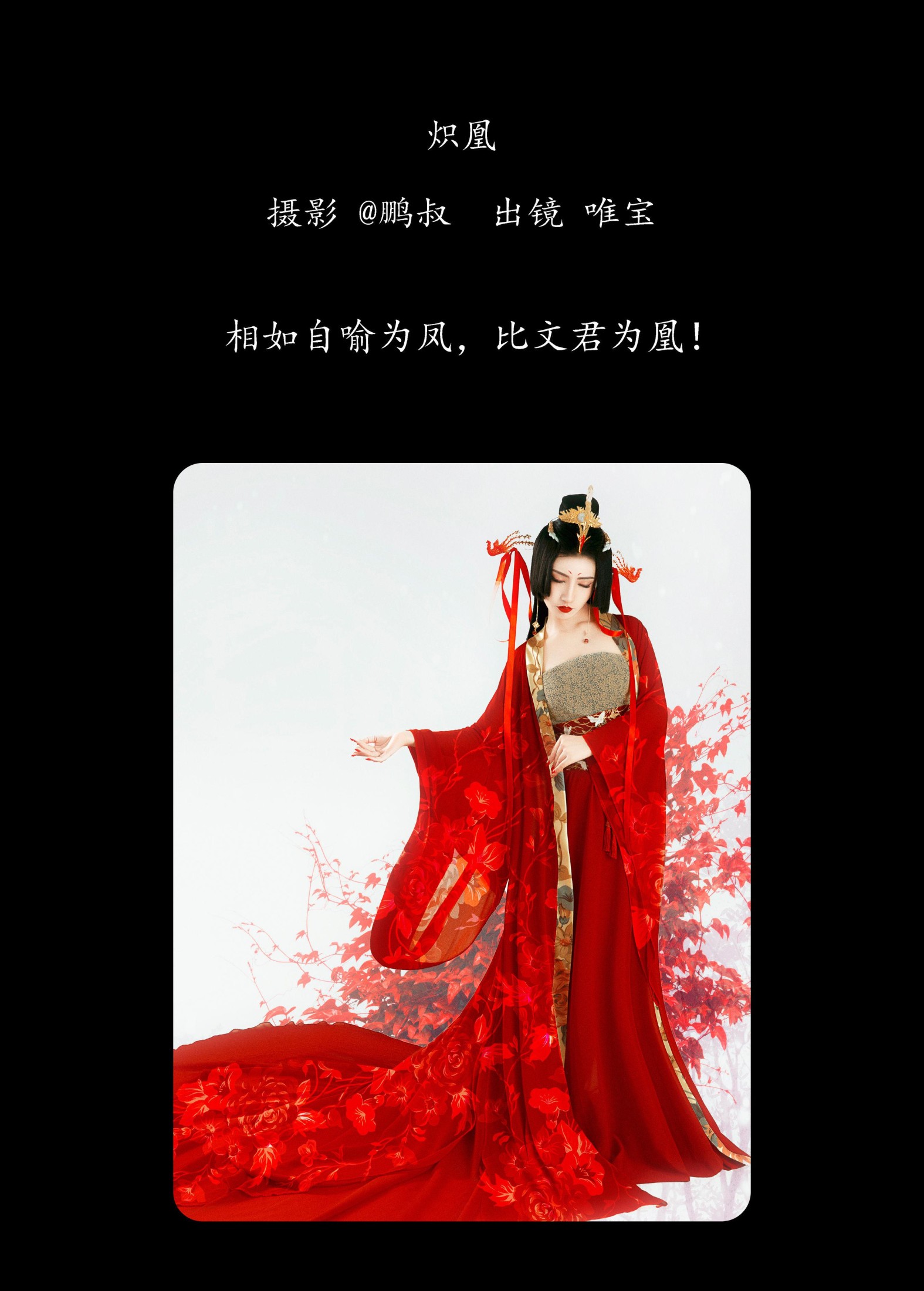 唯宝 – 《炽凰》[22P]