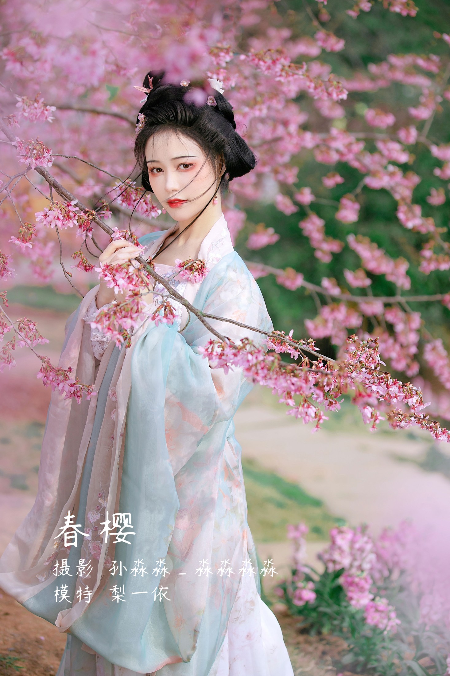 春樱