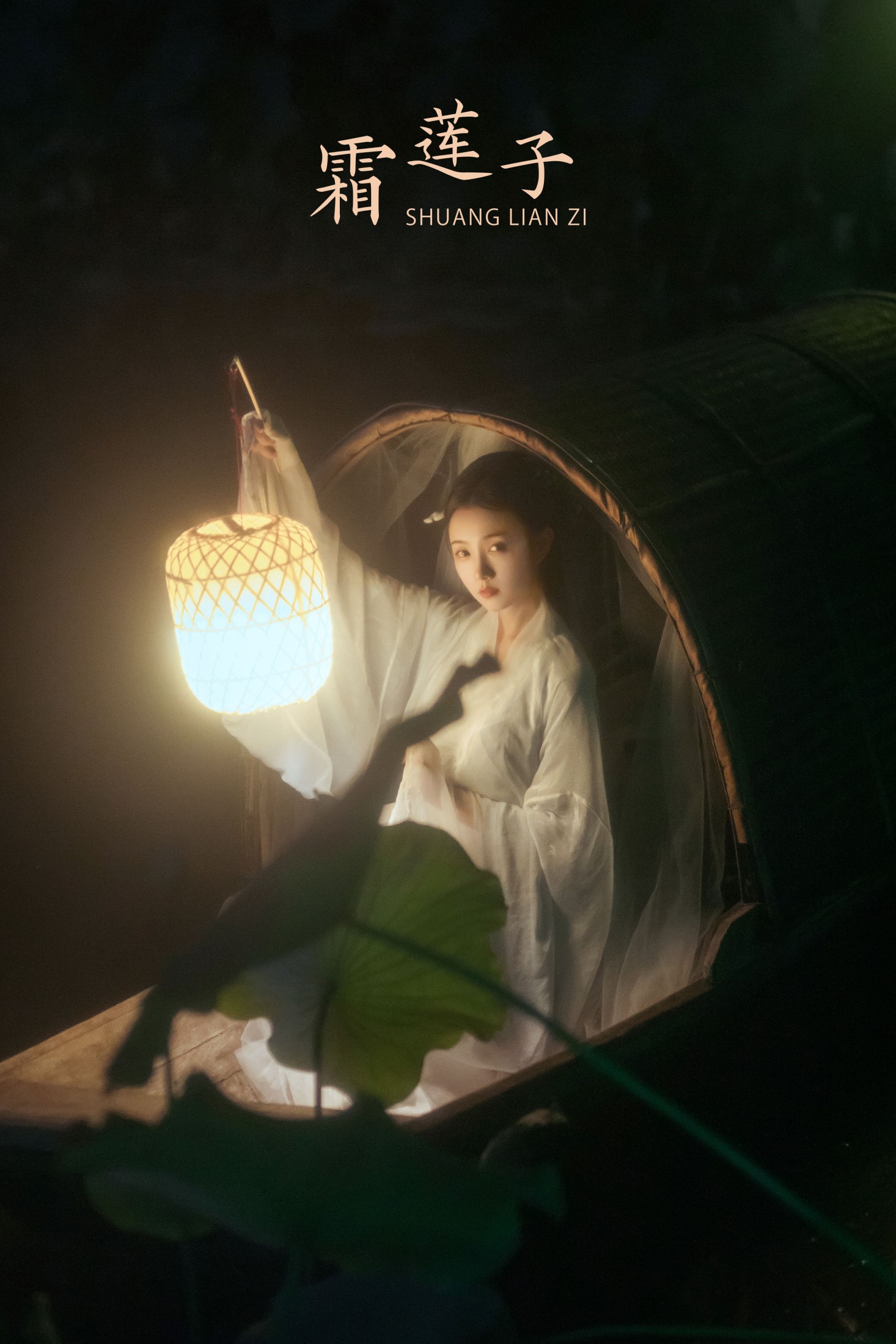 霜莲子