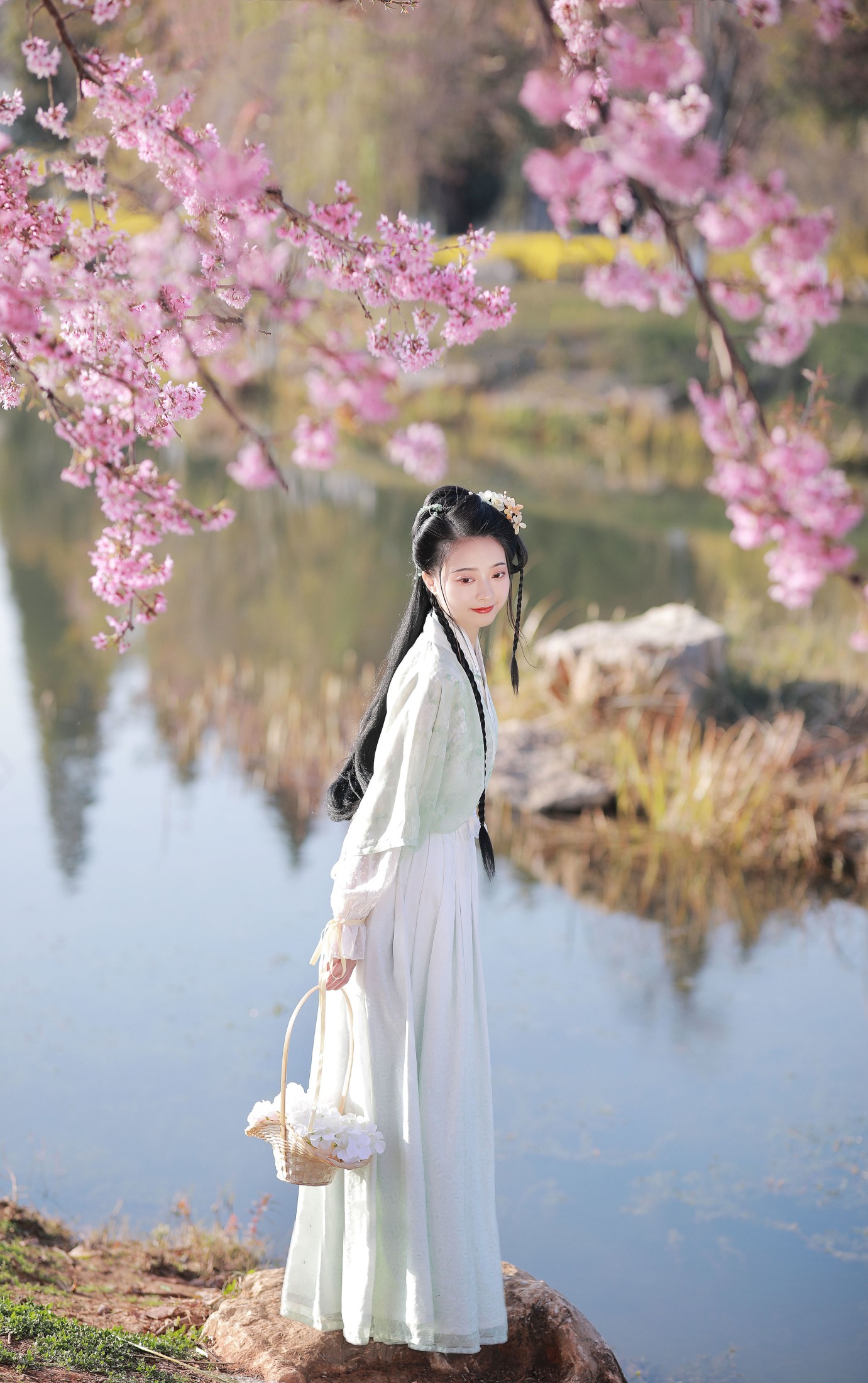 与芳 – 《樱花》[21P]