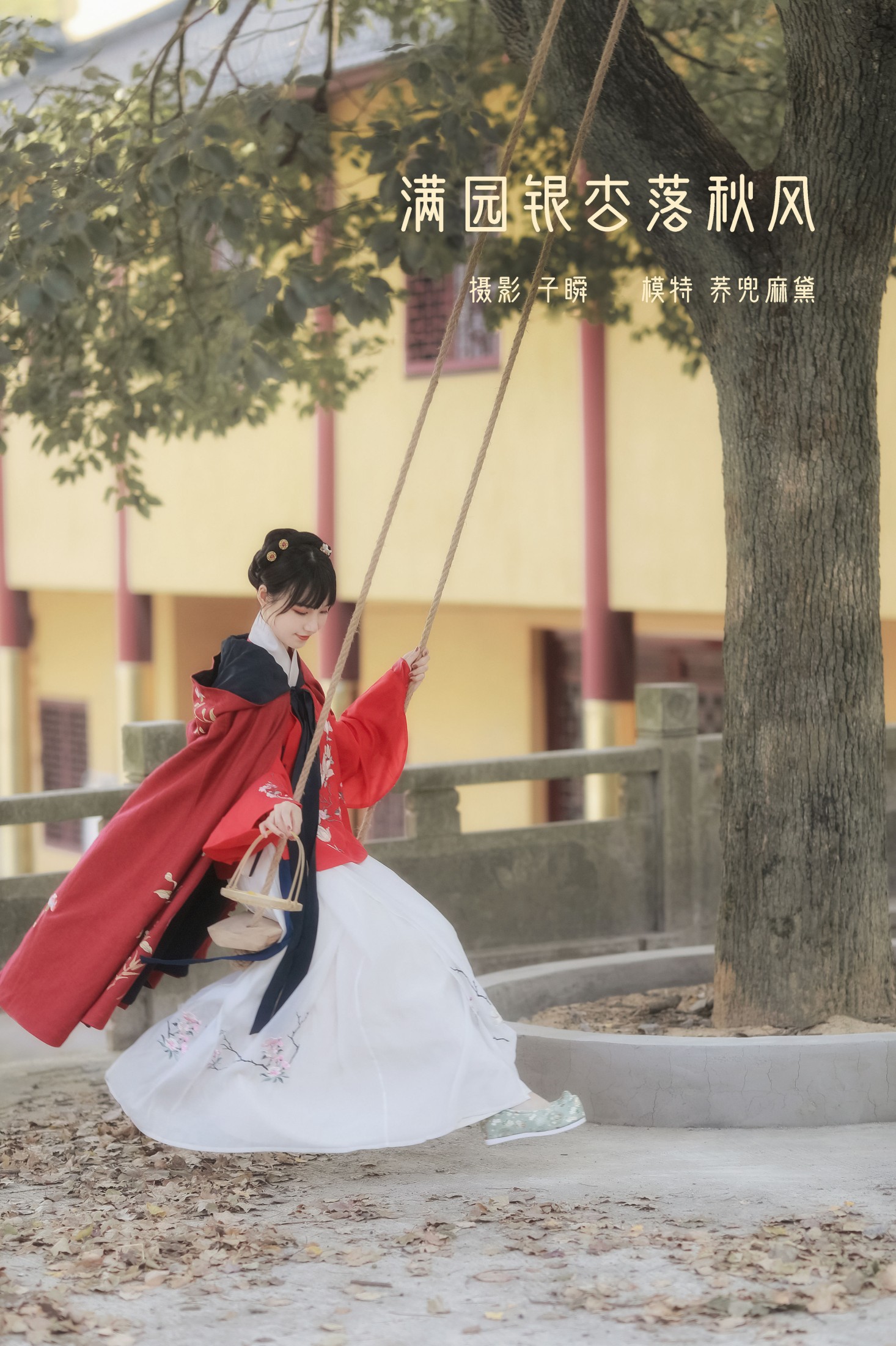 满园银杏落秋风