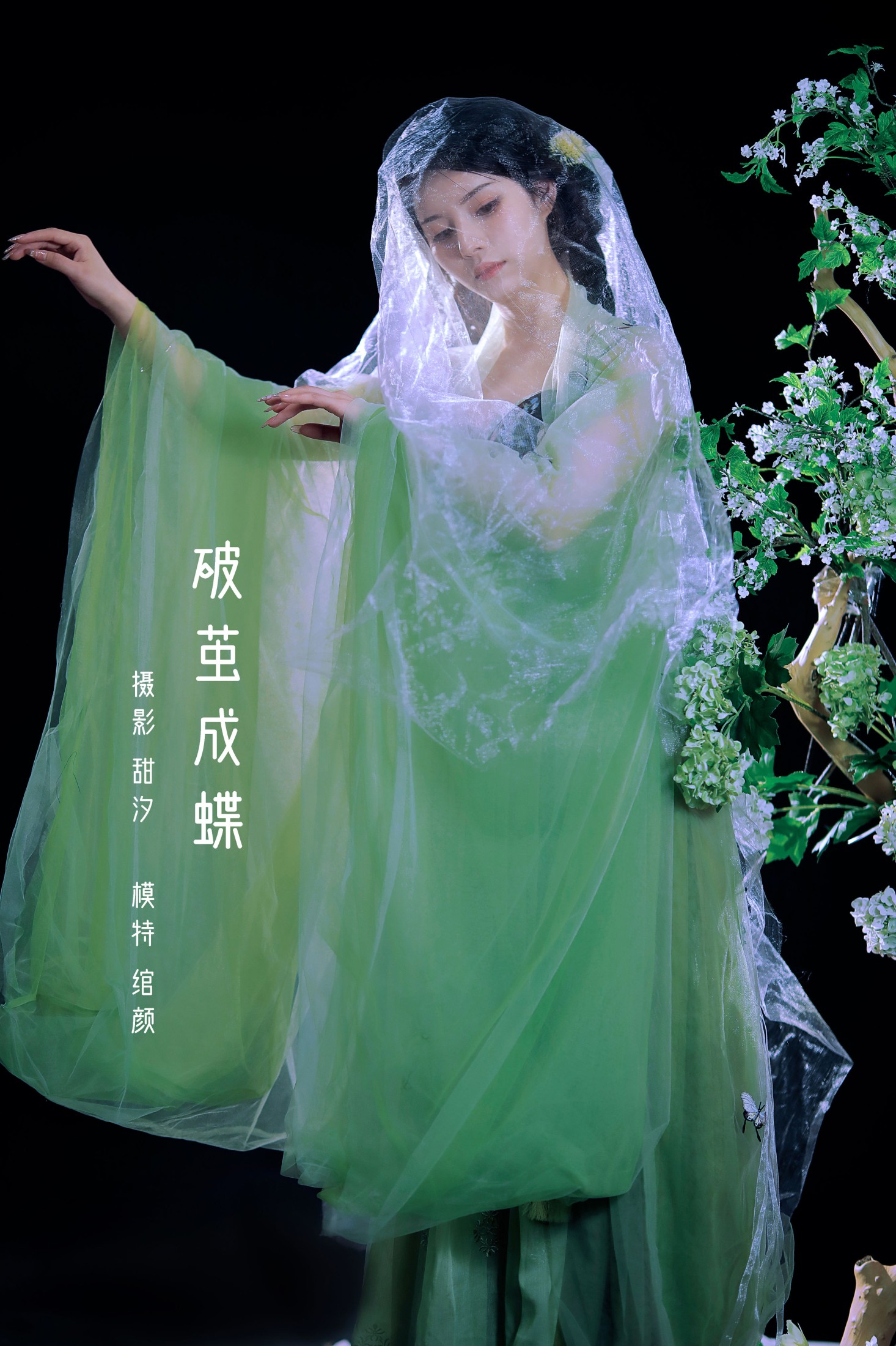 破茧成蝶