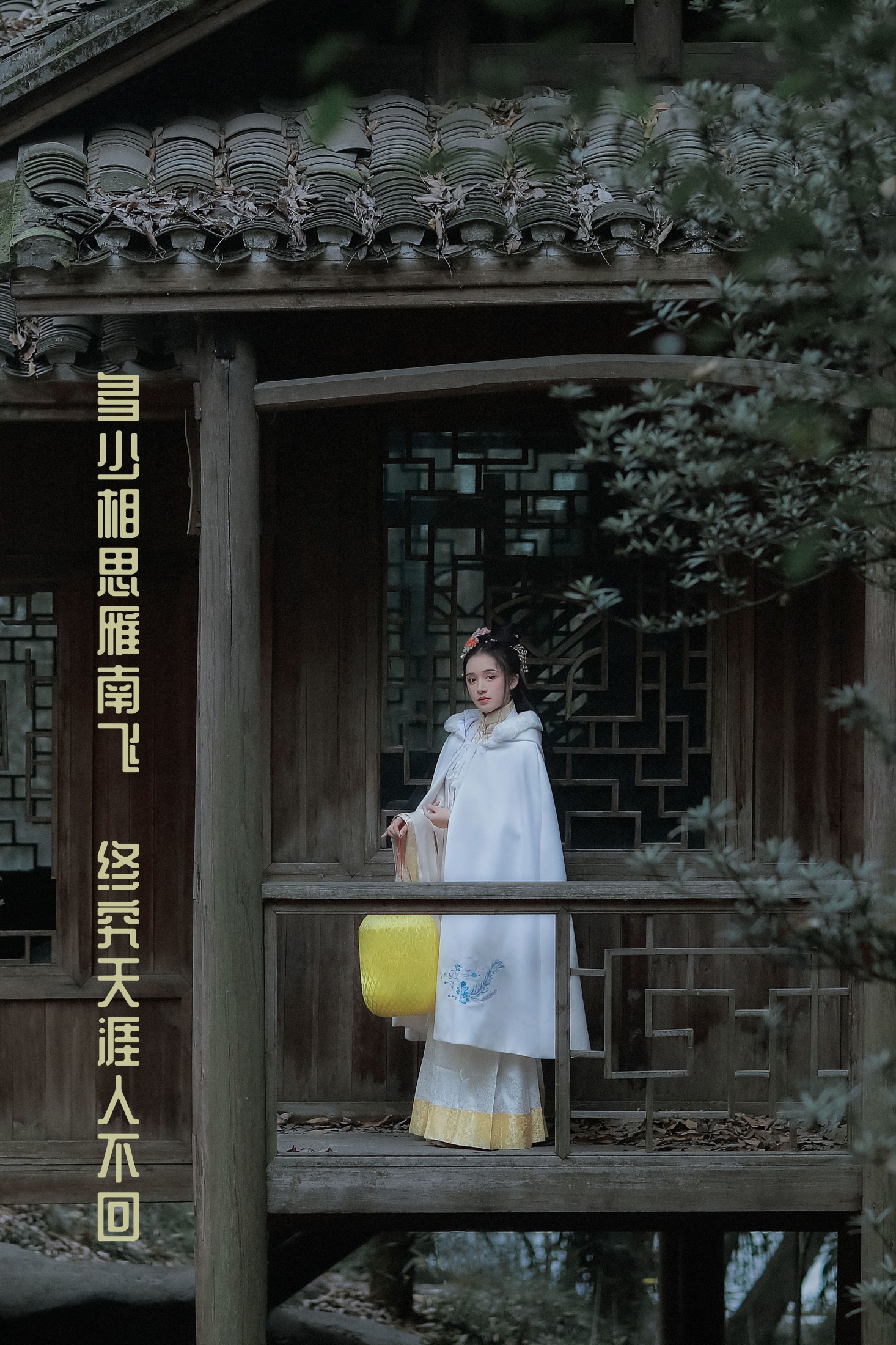 多少相思雁南飞,终究天涯人不回