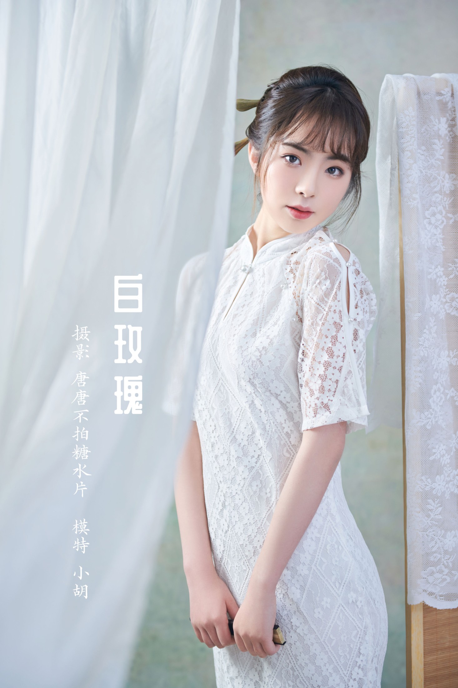白玫瑰