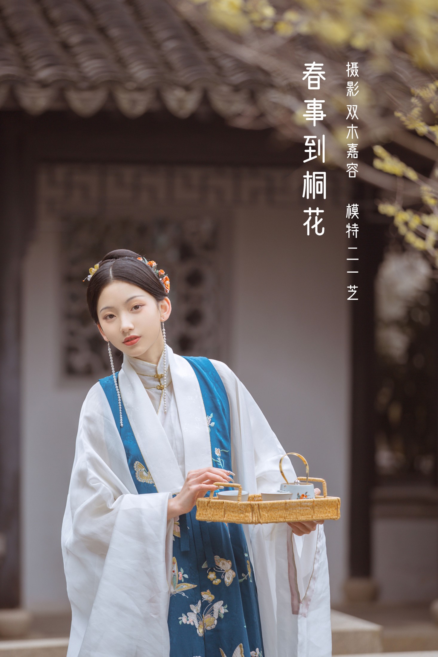 春事到桐花