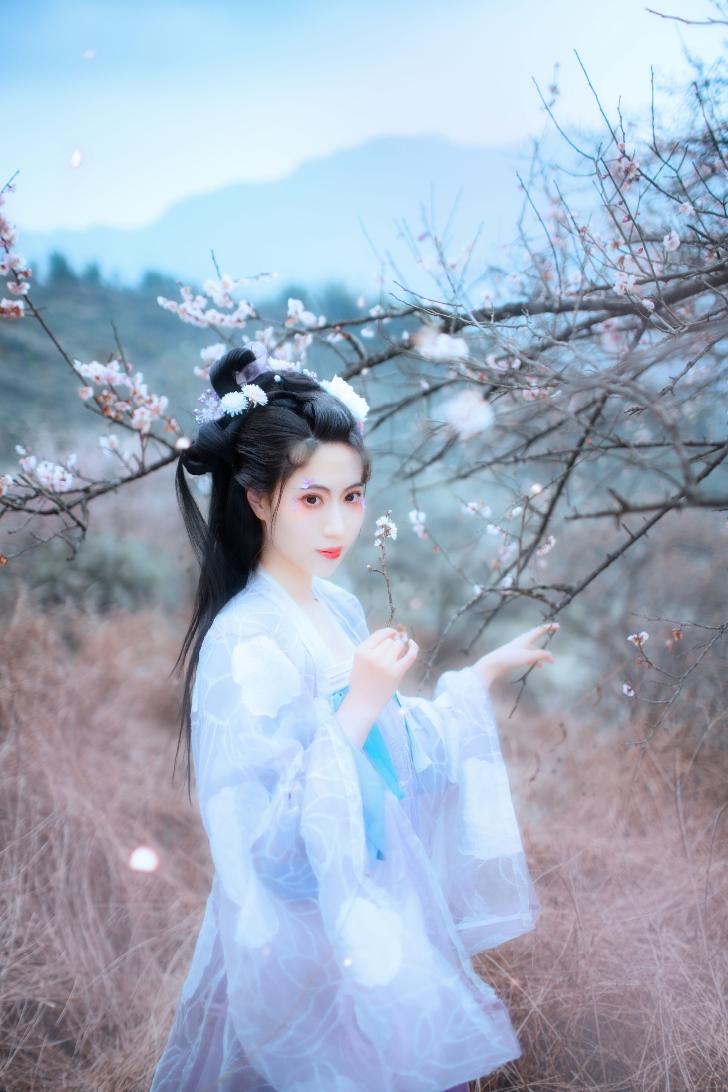 初茶 – 《问梅子》[37P]