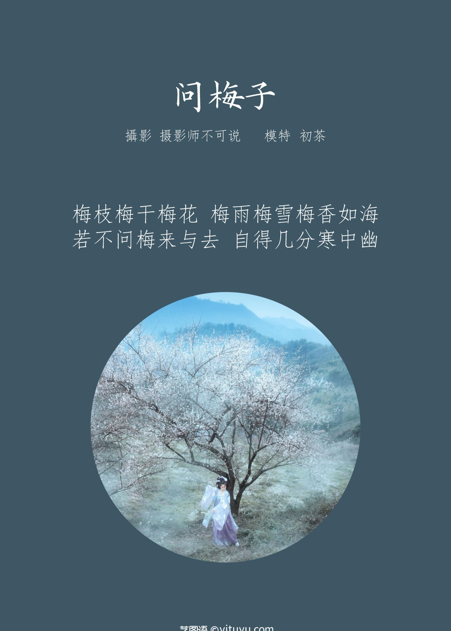 初茶 – 《问梅子》[37P]