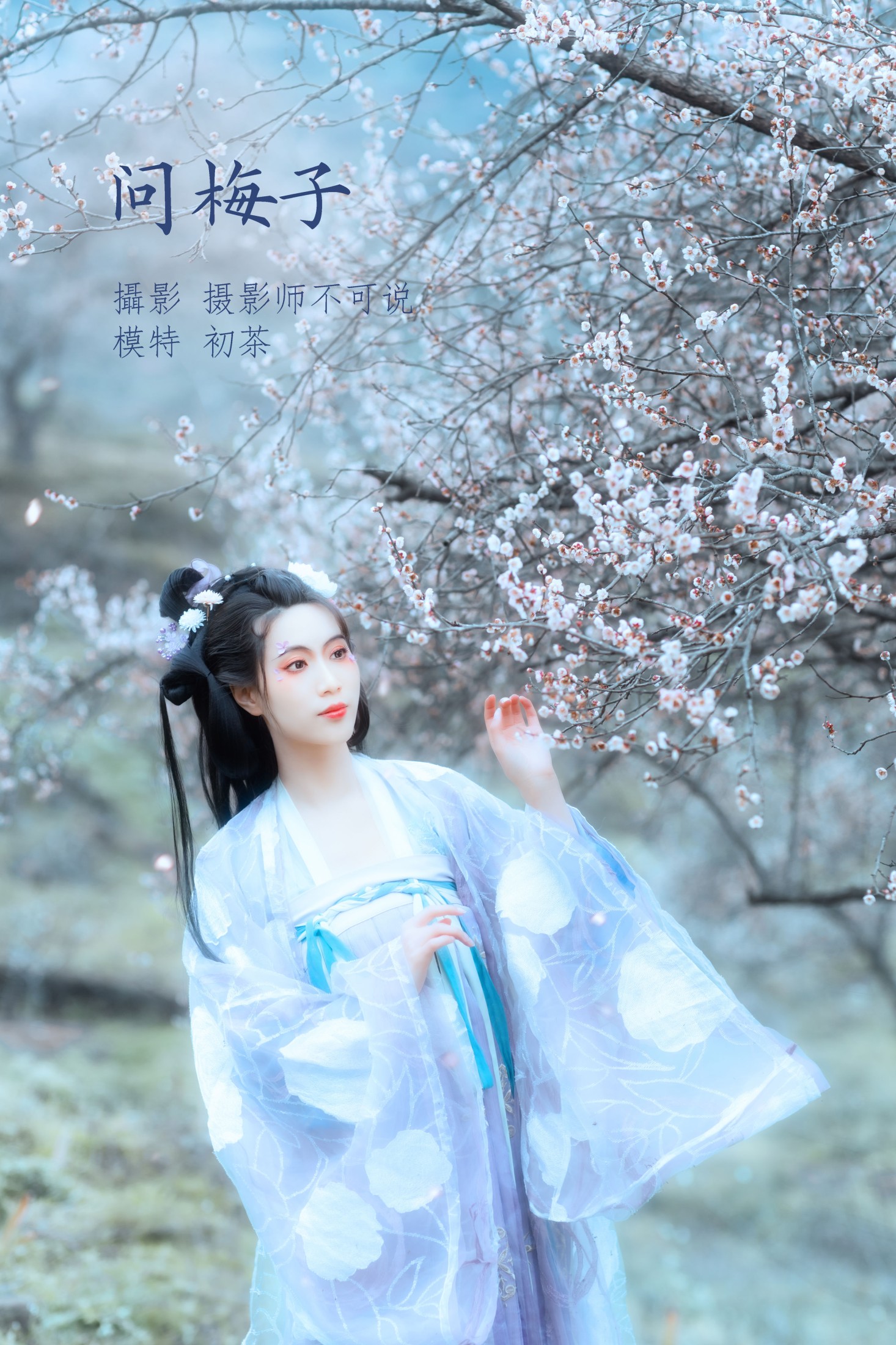 问梅子