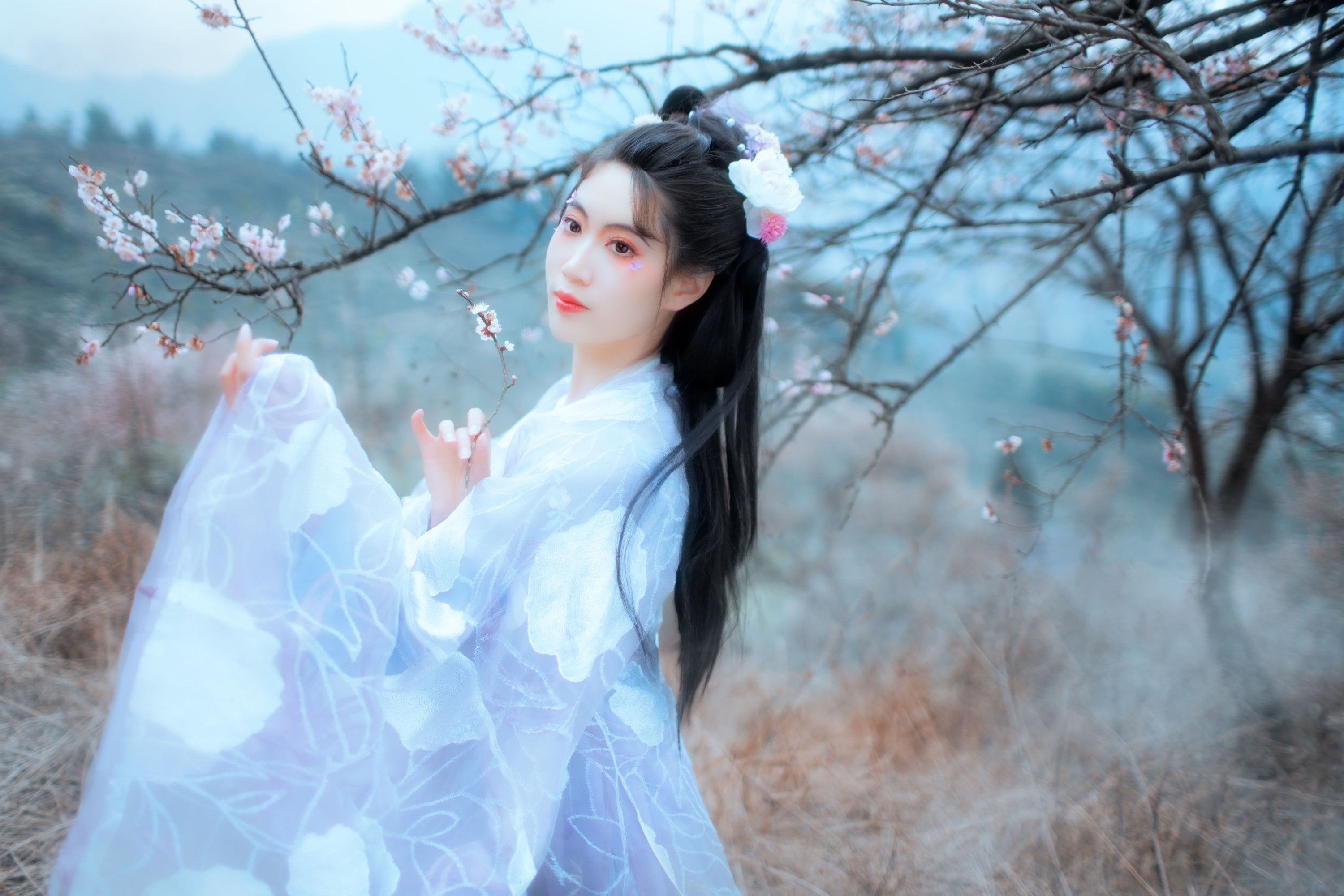 初茶 – 《问梅子》[37P]