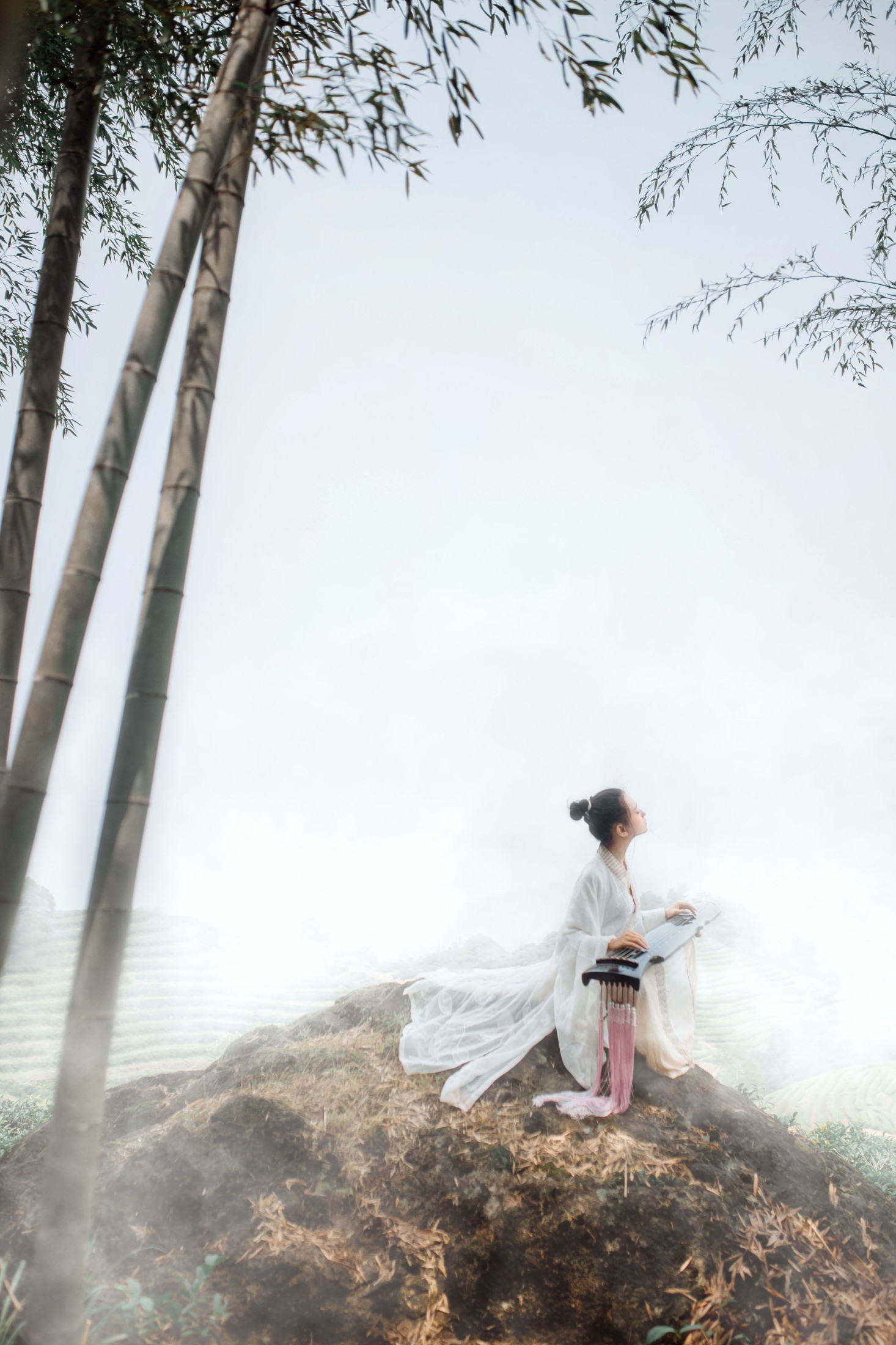 叶初婳 – 《采茶纪》[23P]