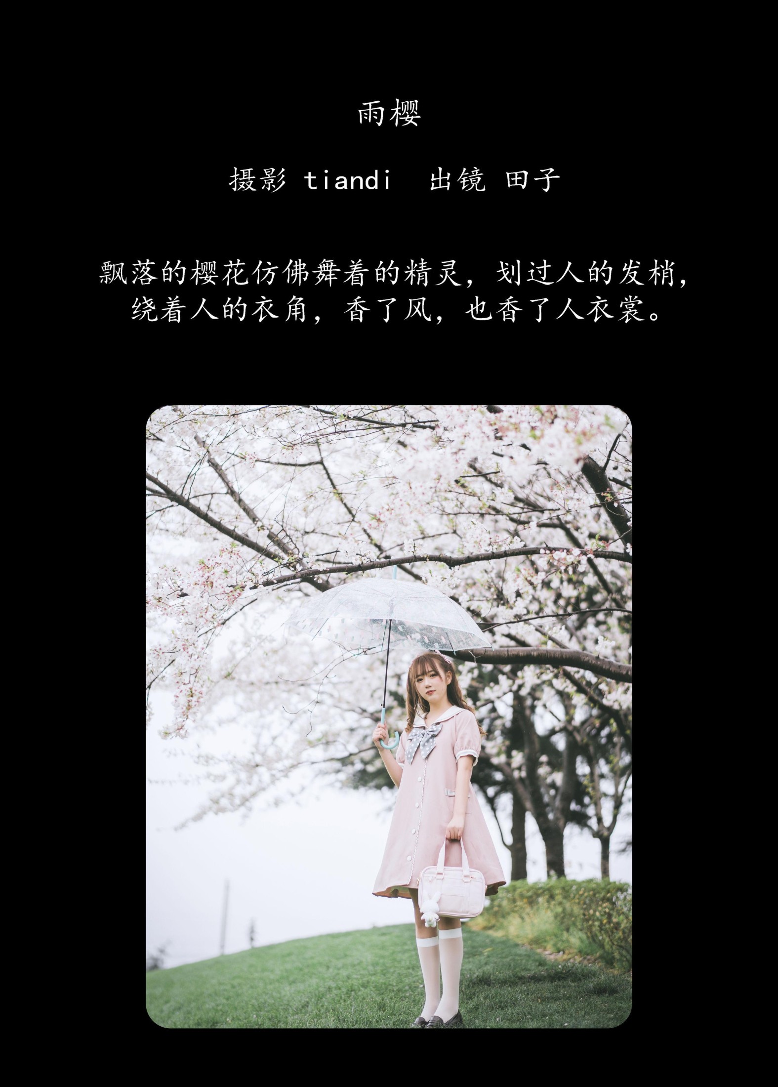 田子 – 《雨樱》[31P]