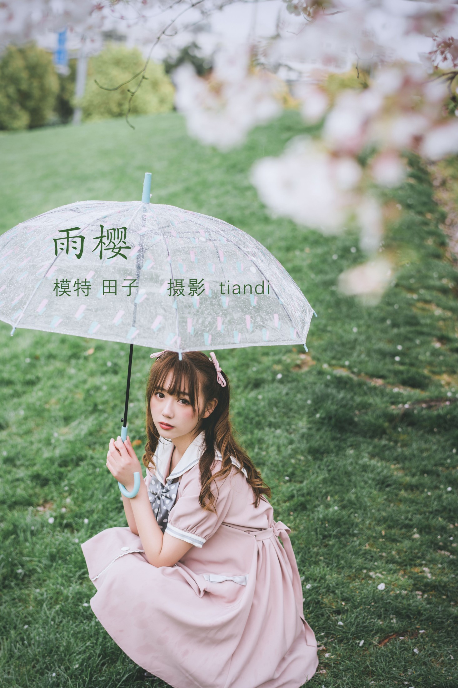 雨樱