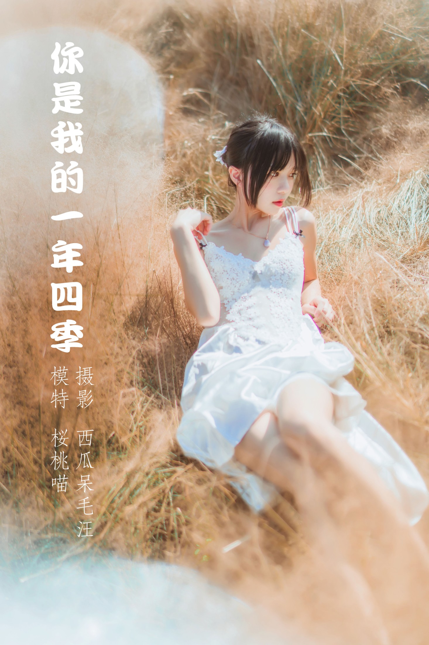 你是我的一年四季