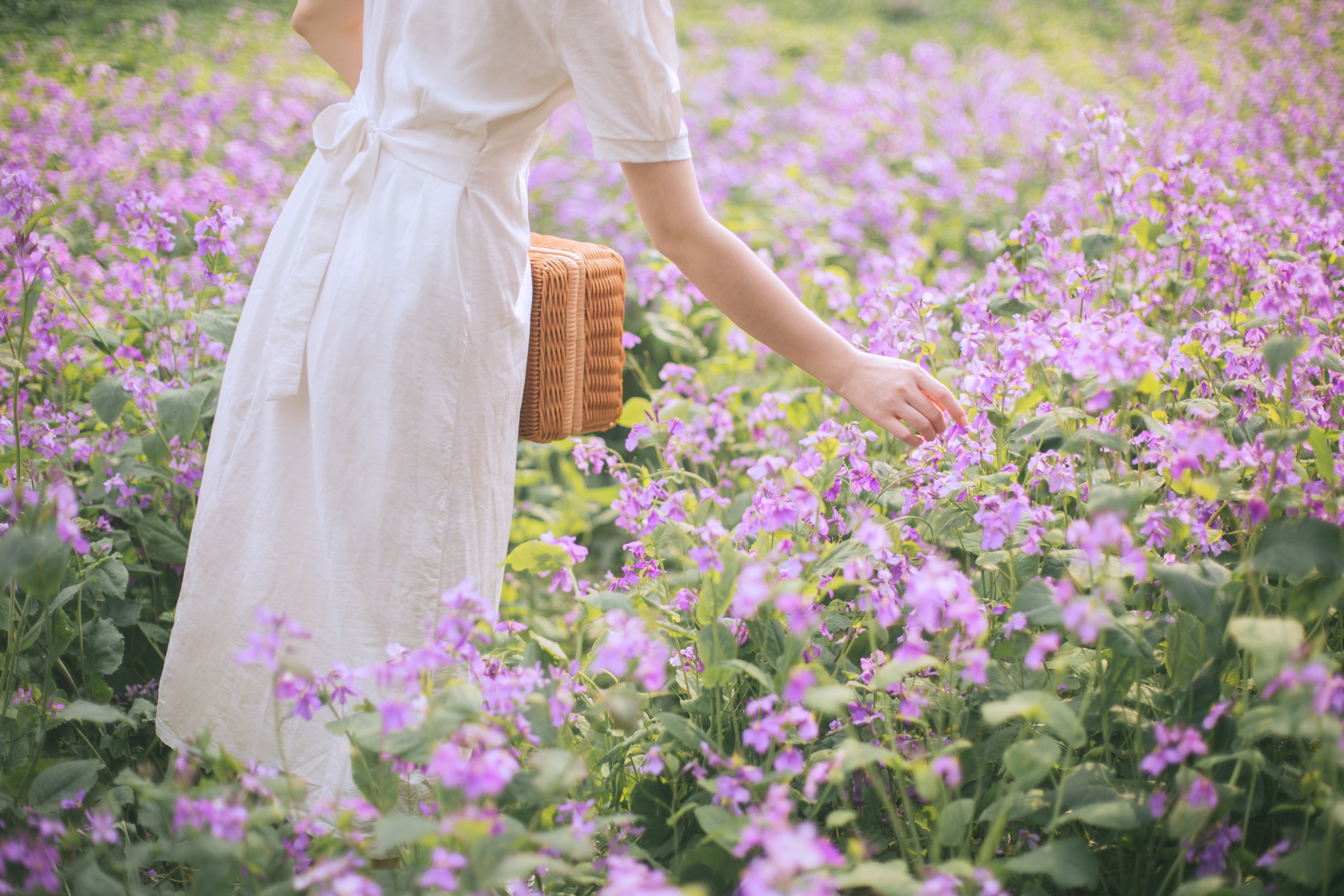 我是金儿呀 – 《One day in spring》[33P]