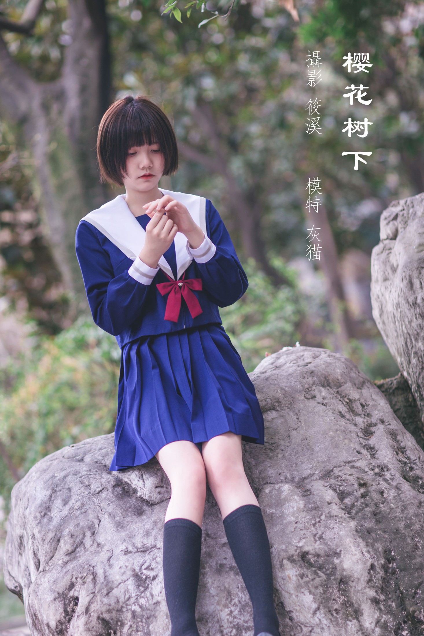 樱花树下