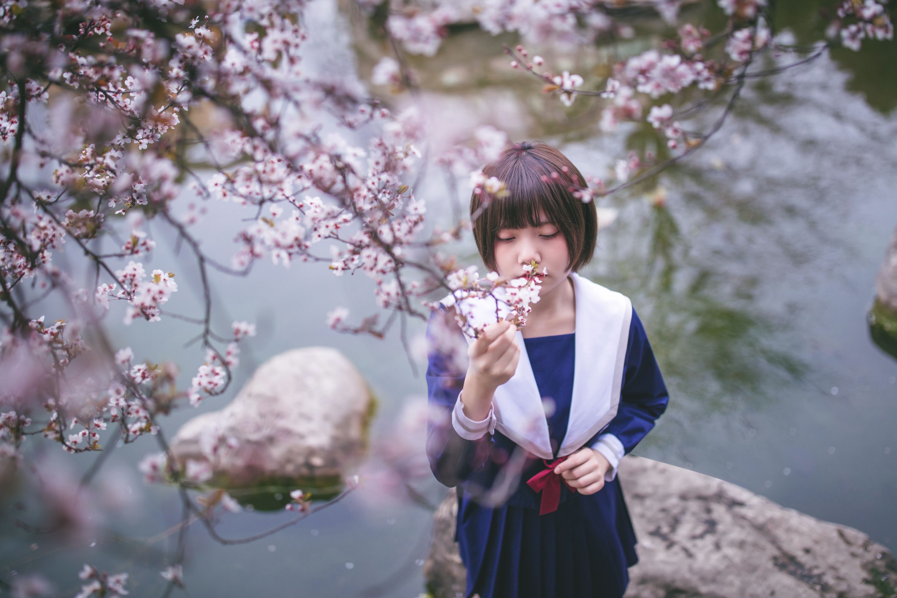 灰猫 – 《樱花树下》[20P]