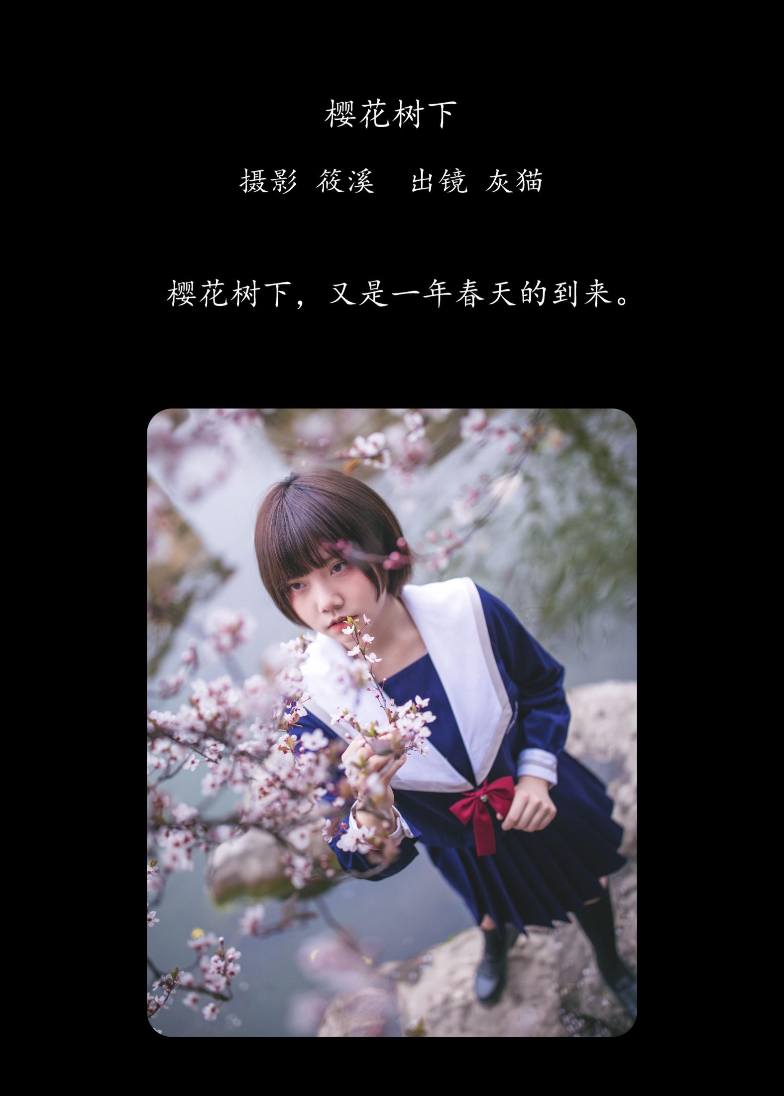 灰猫 – 《樱花树下》[20P]