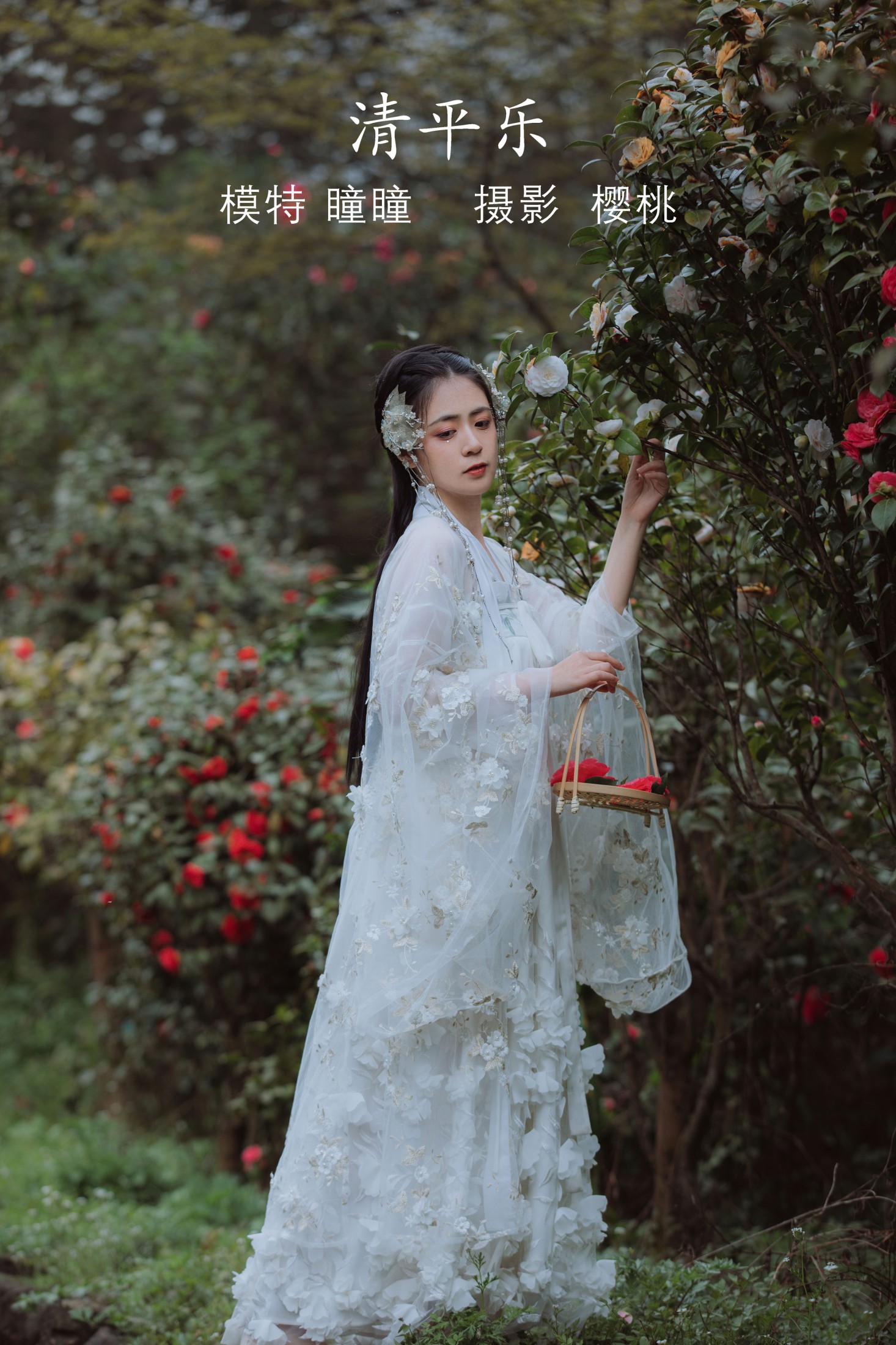 清平乐