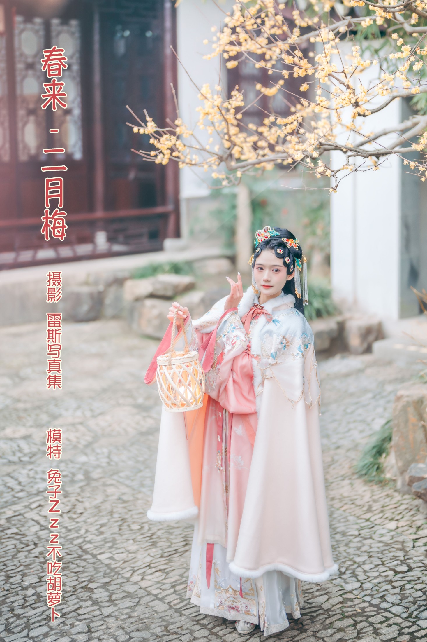 春来 · 二月梅