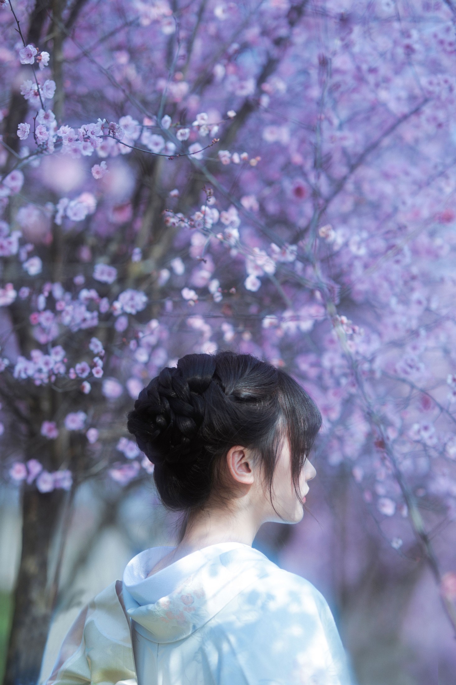小若 – 《梦中之花》[28P]
