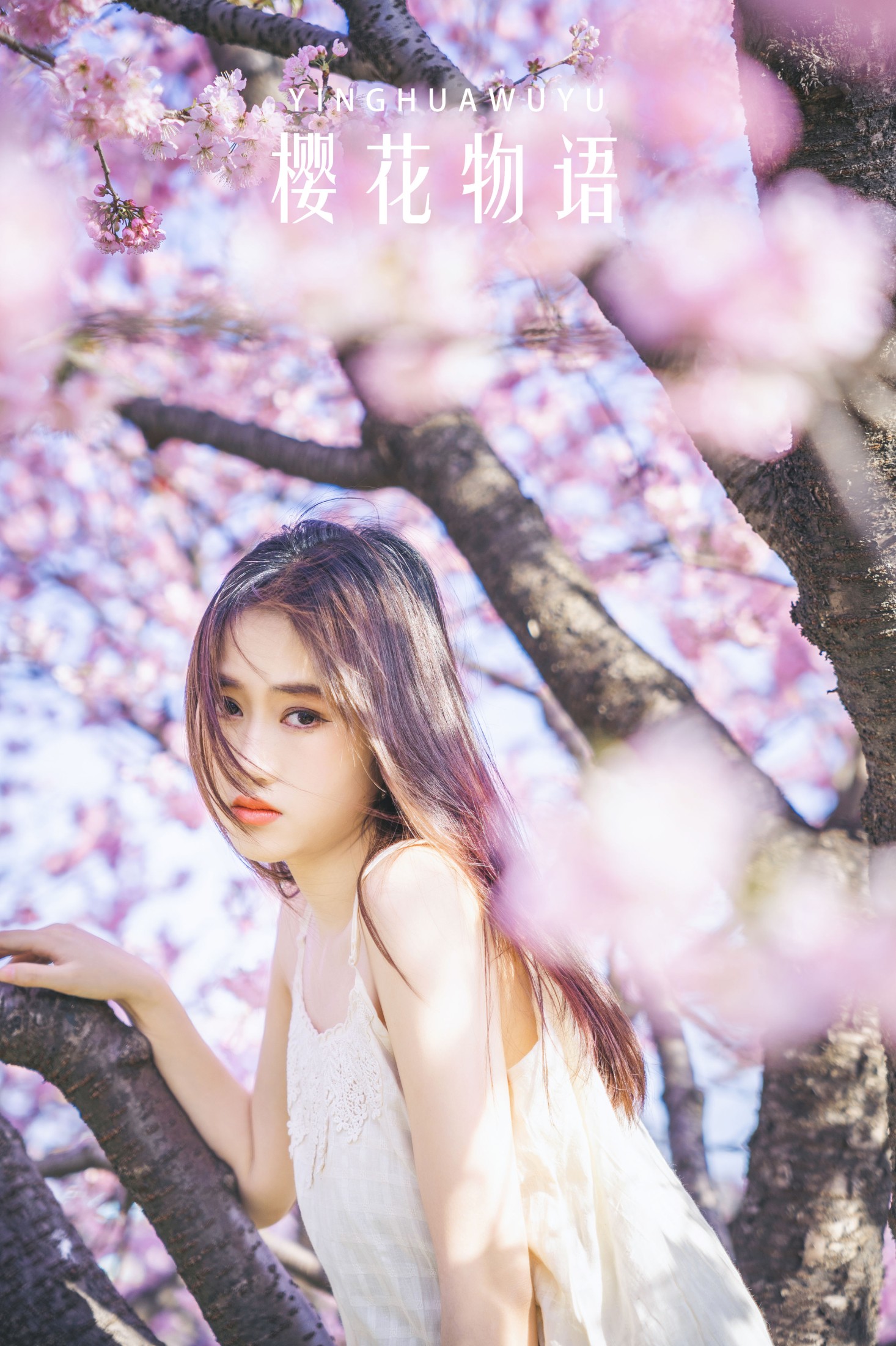樱花物语