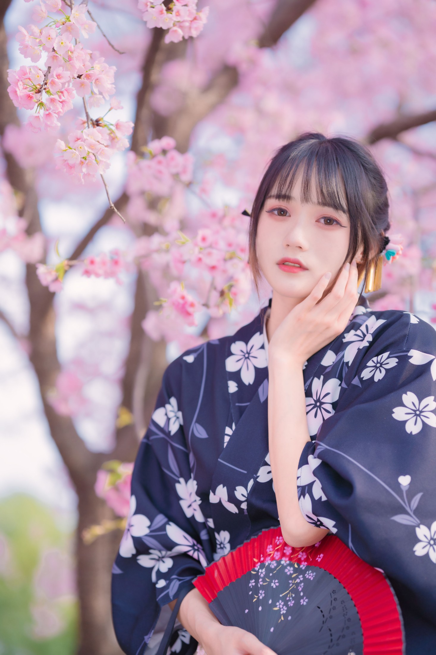 兔子Zzz不吃胡萝卜 – 《樱花烂漫时》[26P]
