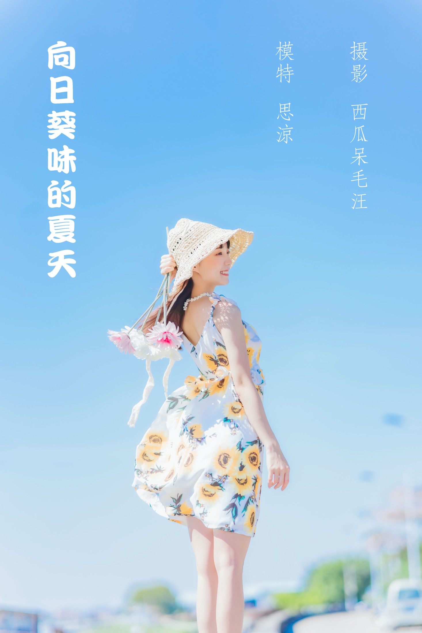 向日葵味的夏天
