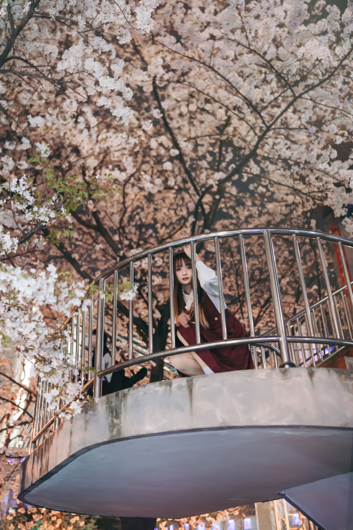 兔子Zzz不吃胡萝卜 – 《邂逅樱花雨》[22P]
