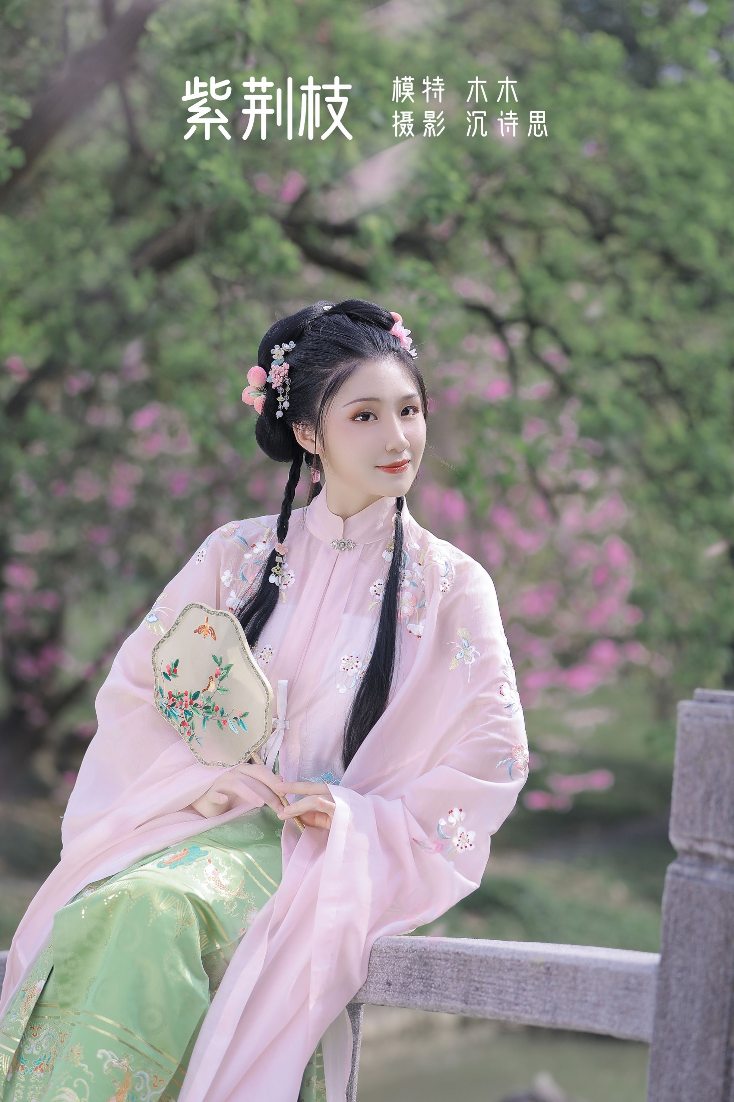 紫荆枝