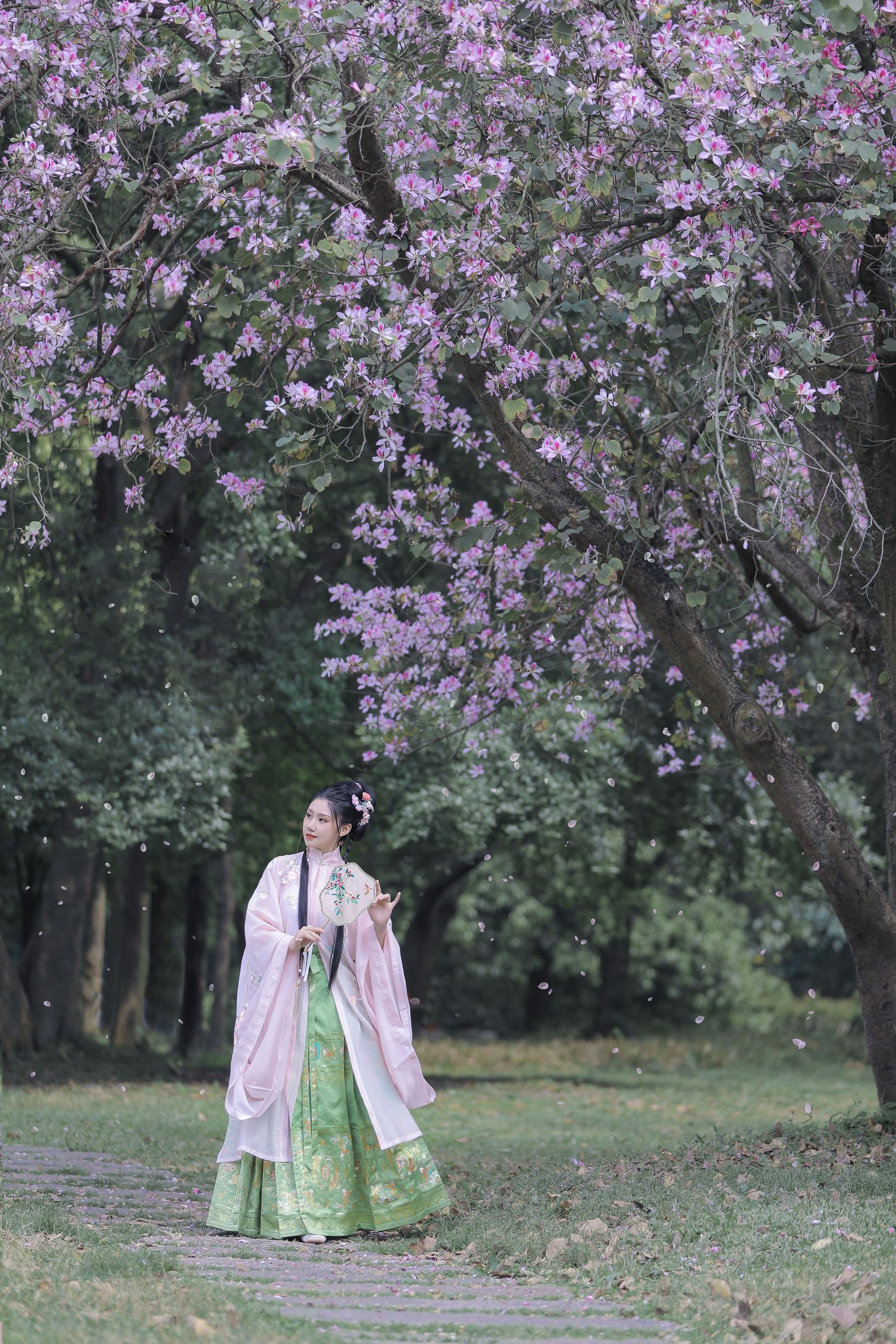 木木 – 《紫荆枝》[23P]