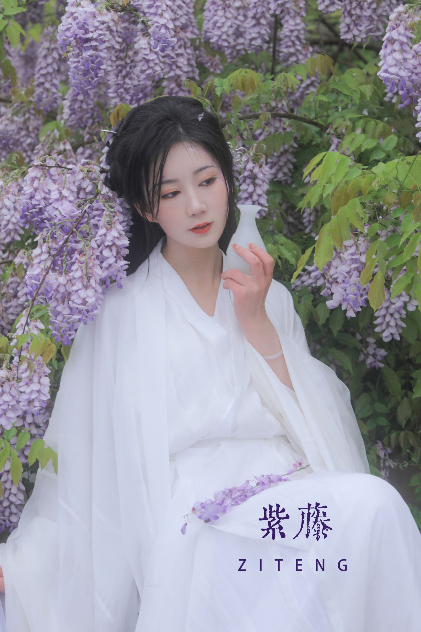 紫藤