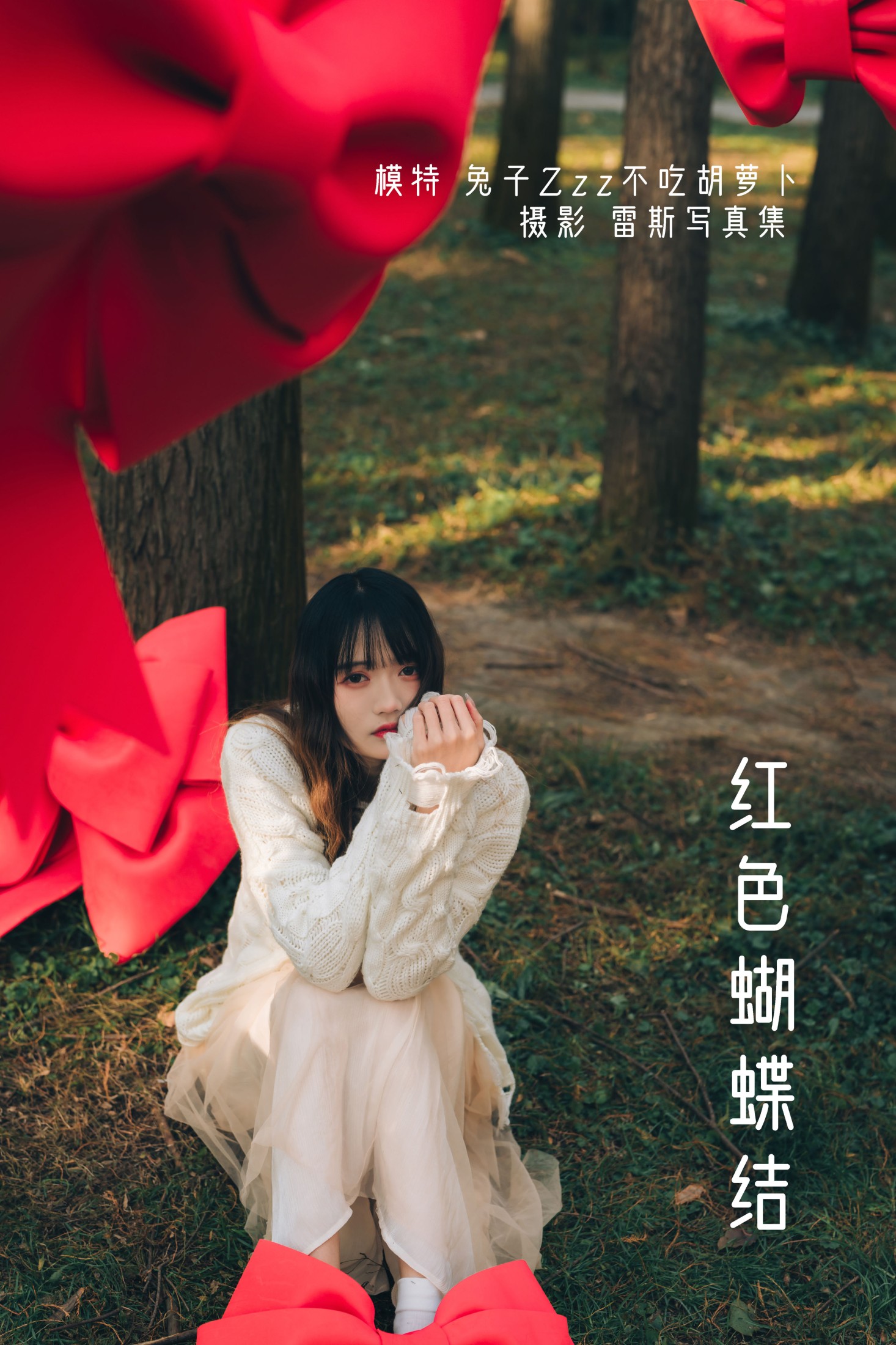 红色蝴蝶结