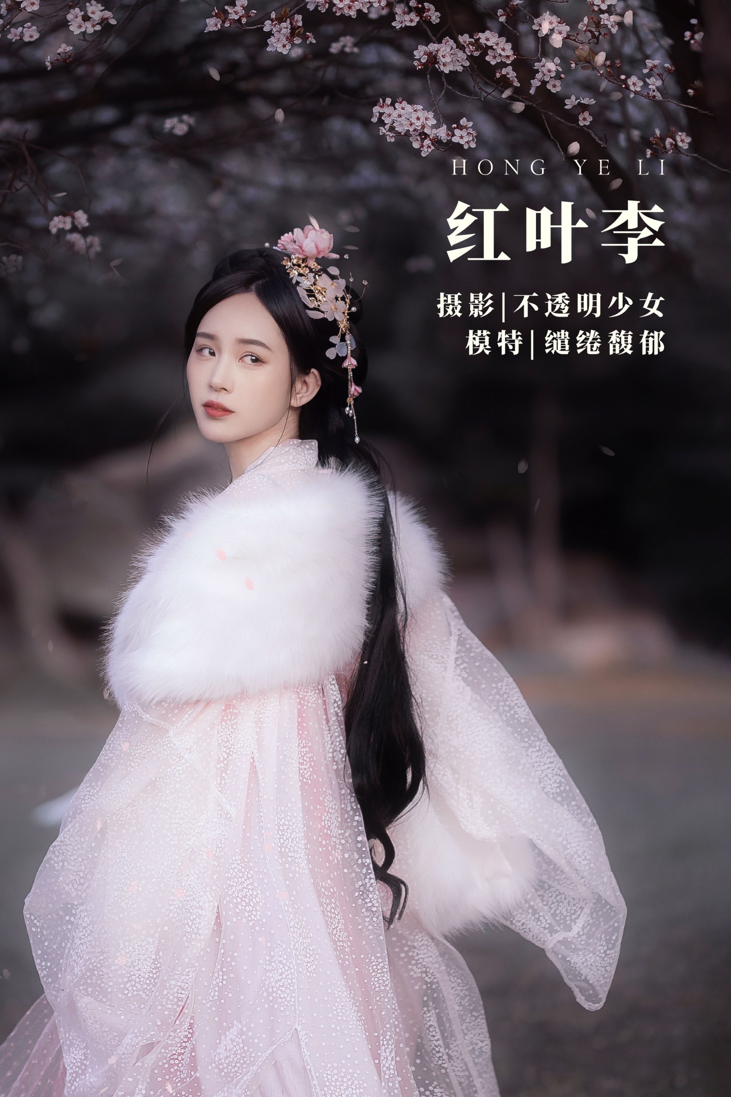 红叶李