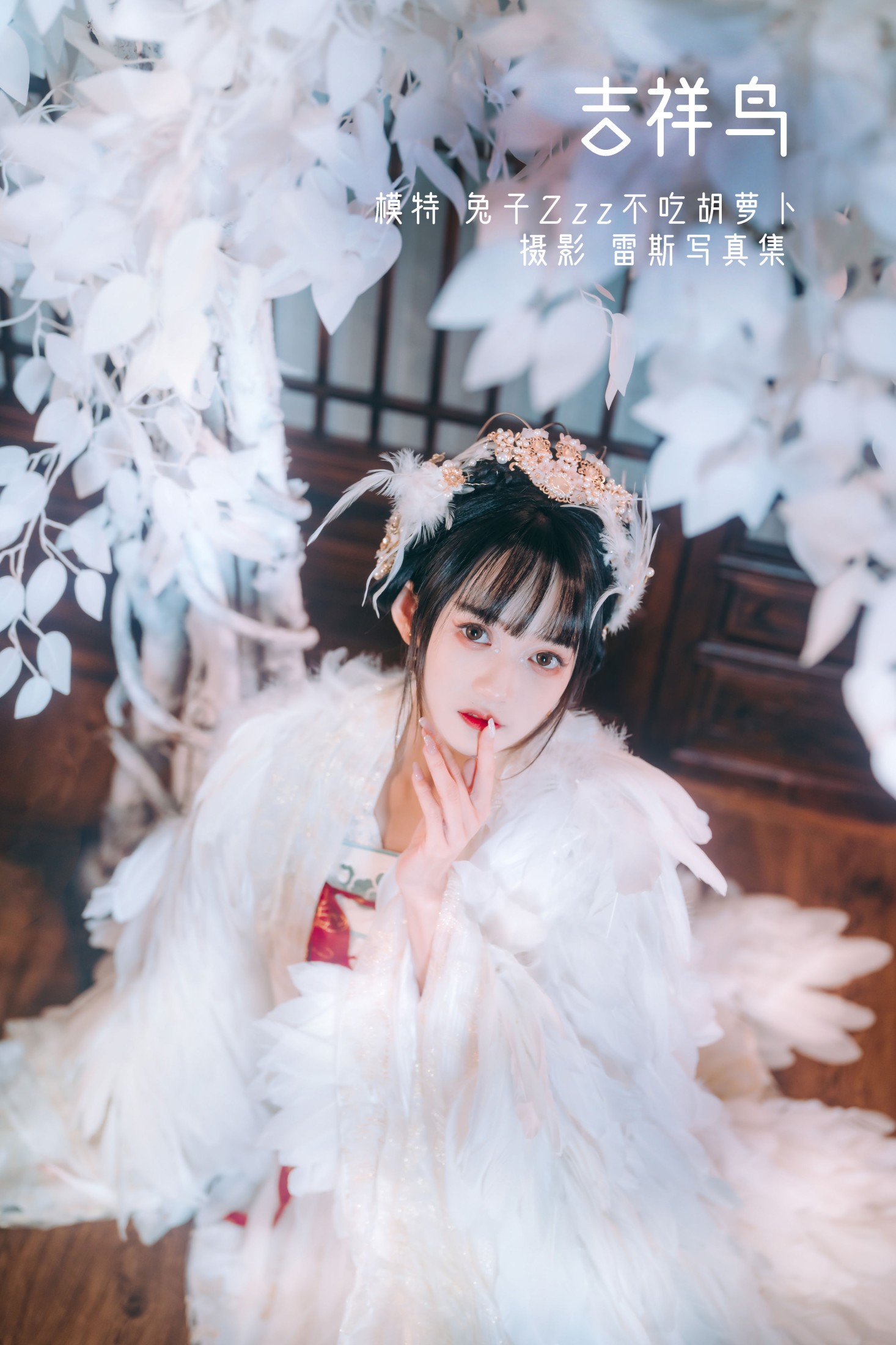 吉祥鸟