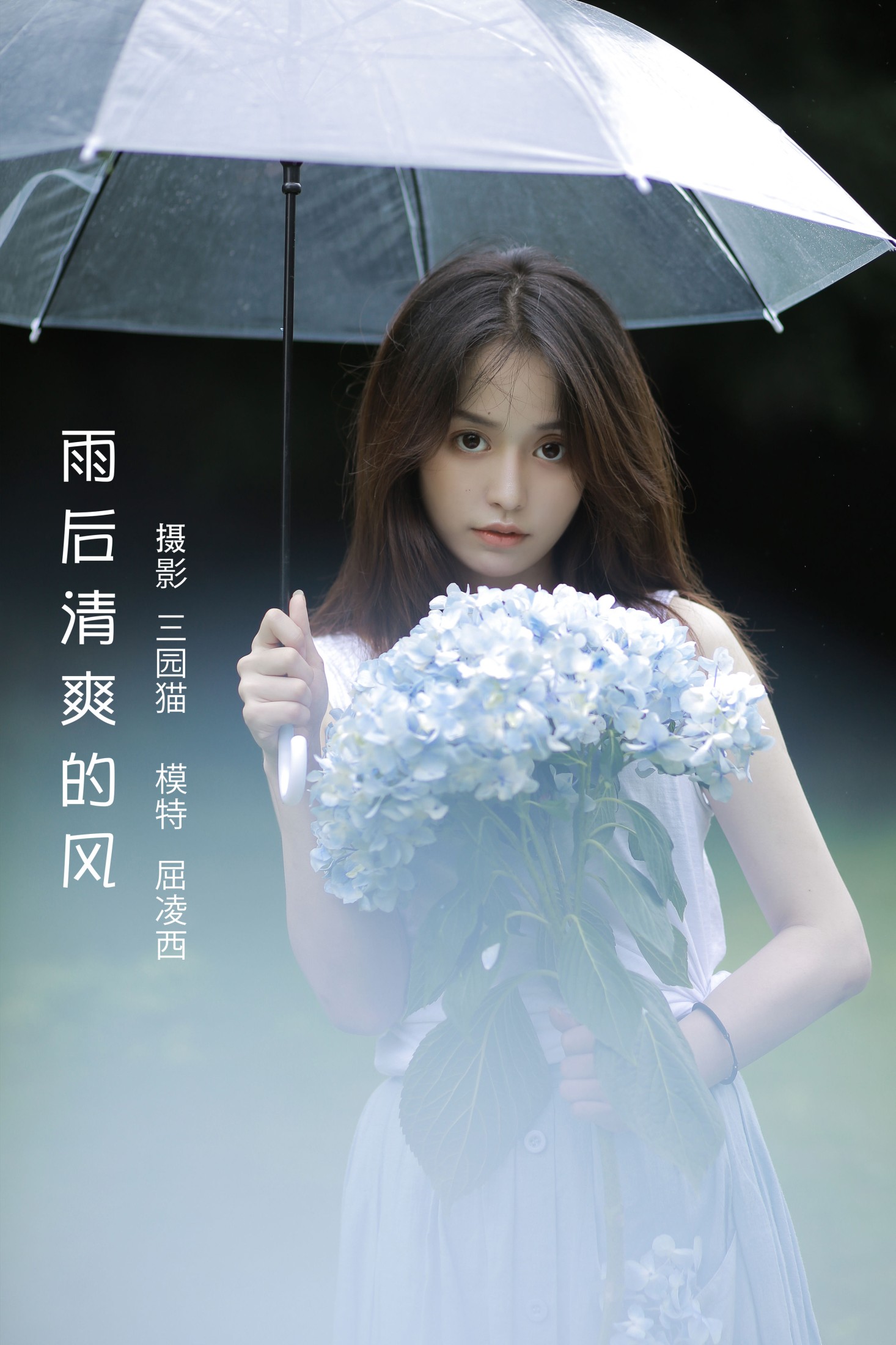雨后清爽的风