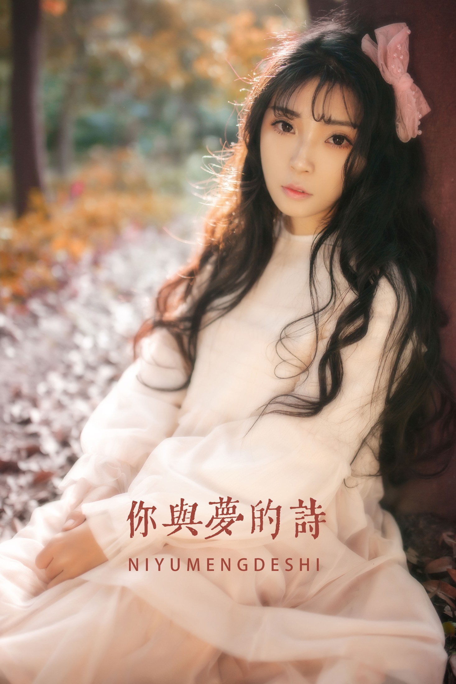 你与梦的诗