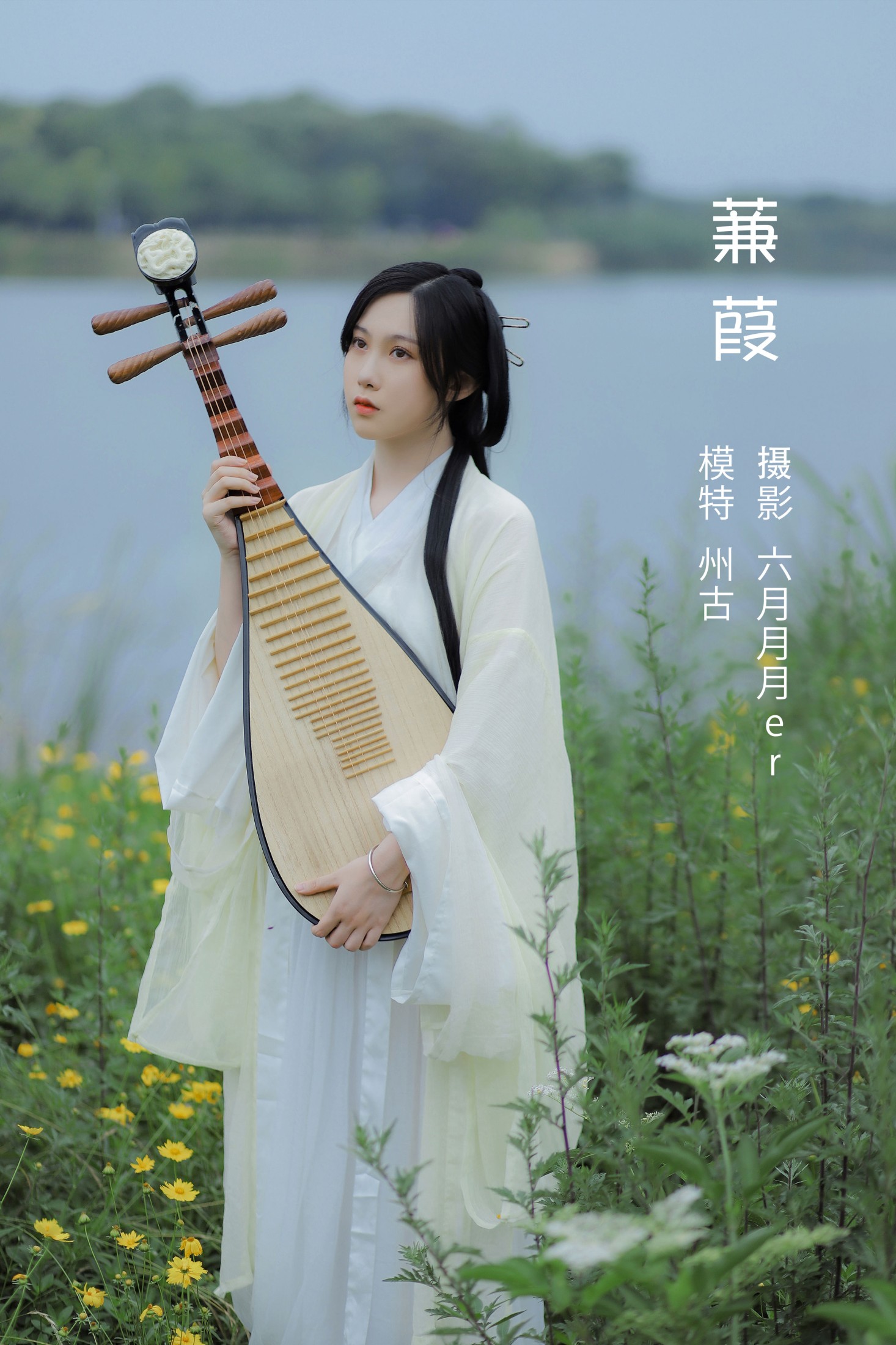 蒹葭