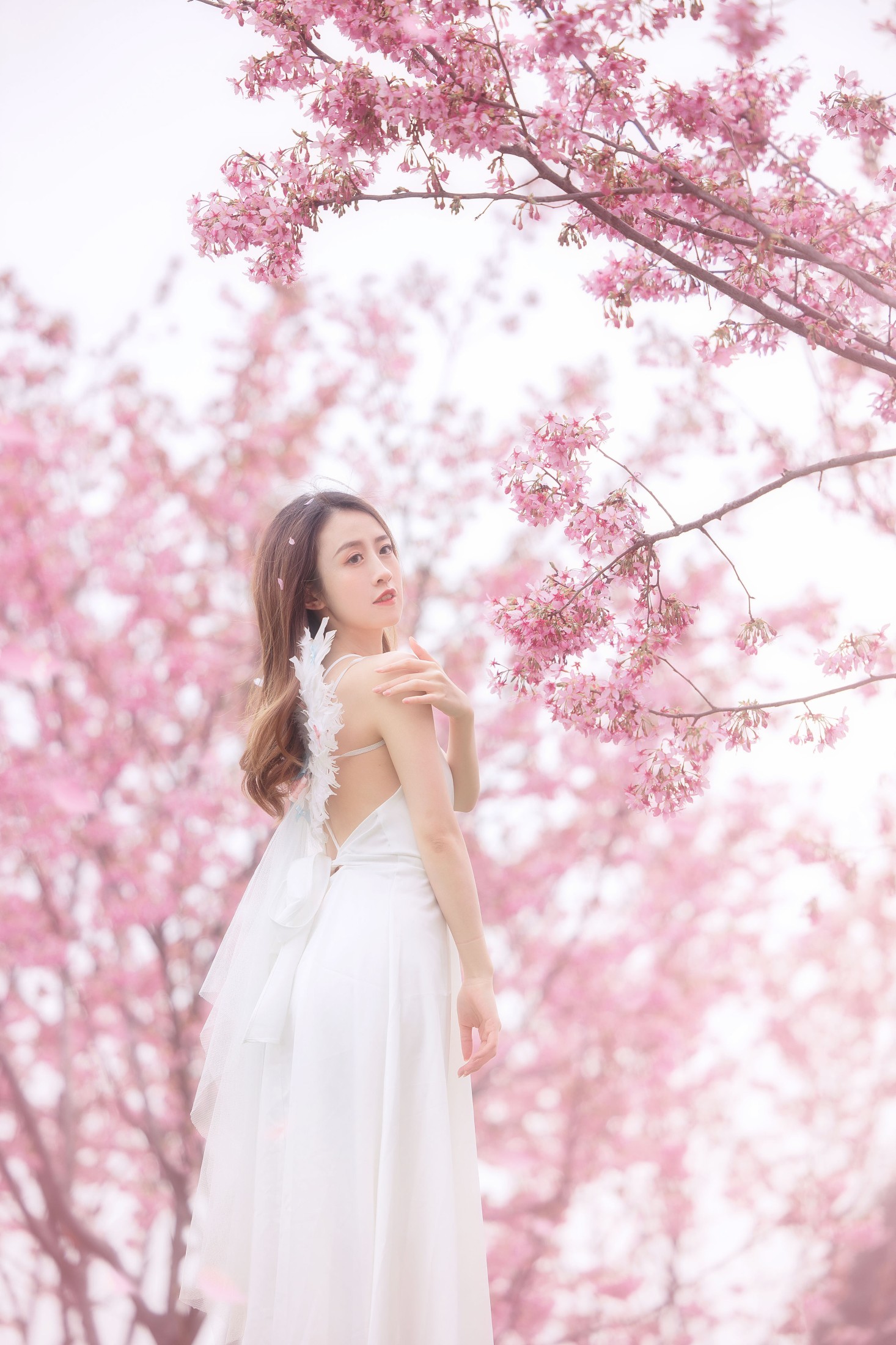 子依 – 《樱花》[29P]