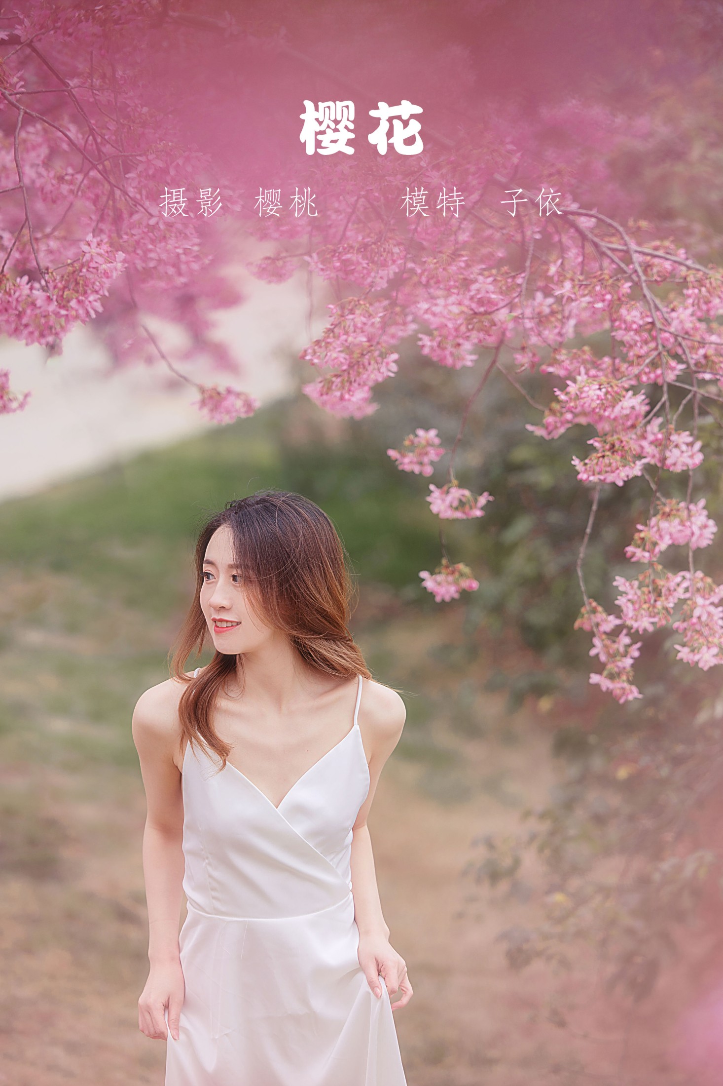 樱花